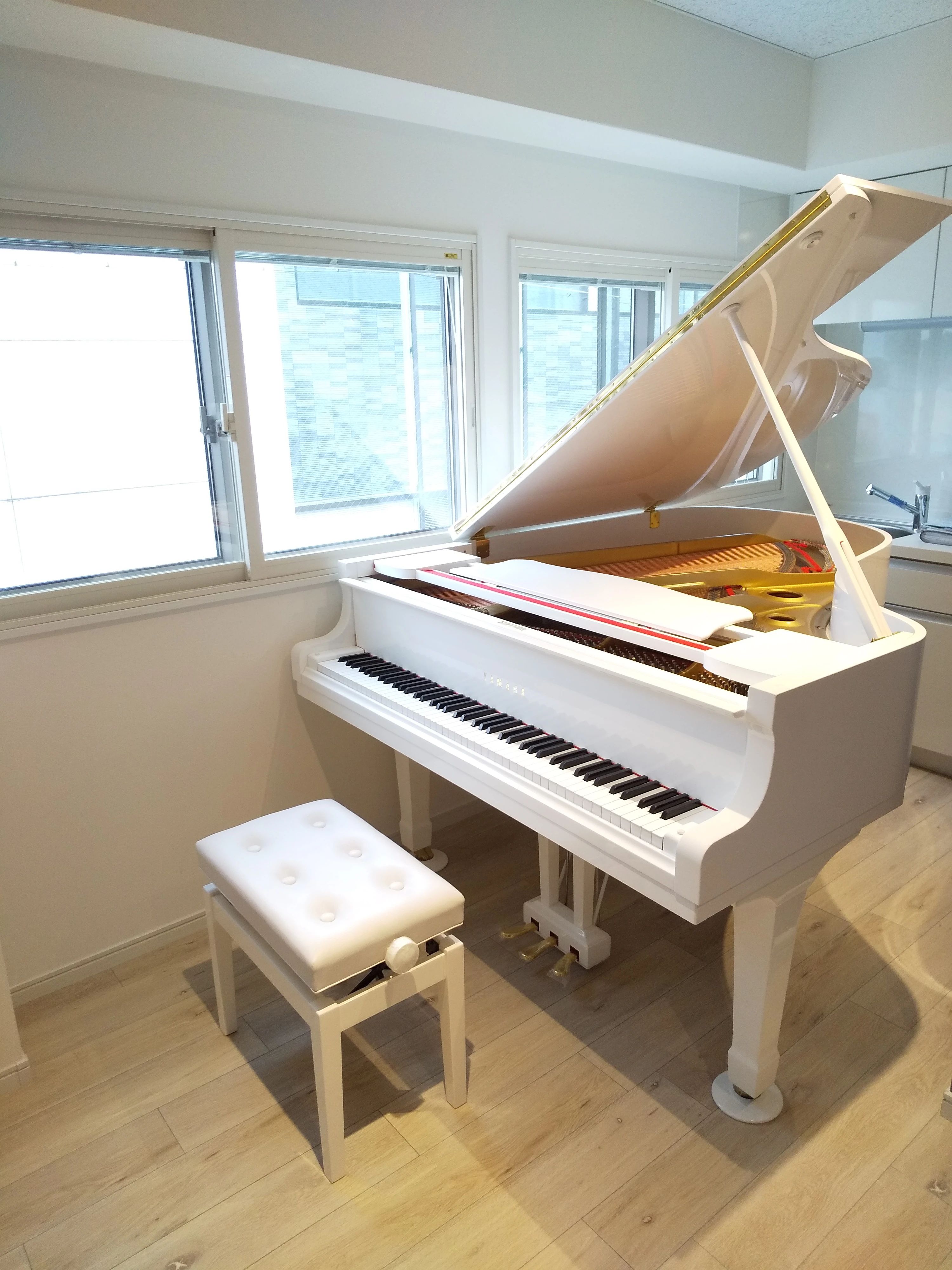 ピアノ教室luce(ルーチェ) 中村教室のサムネイル画像 3