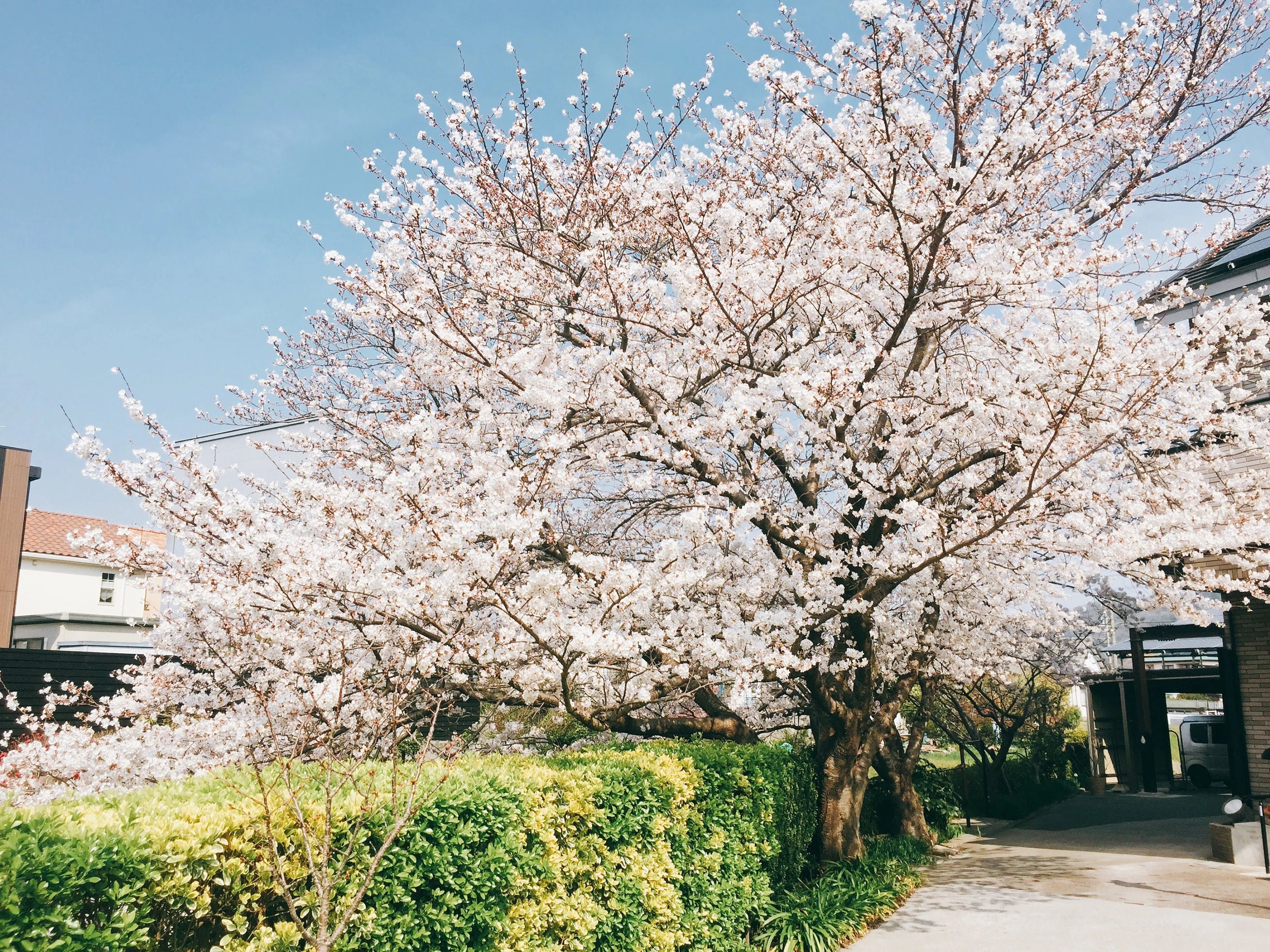 禎紫園 ピアノ 大岩町教室のメイン画像