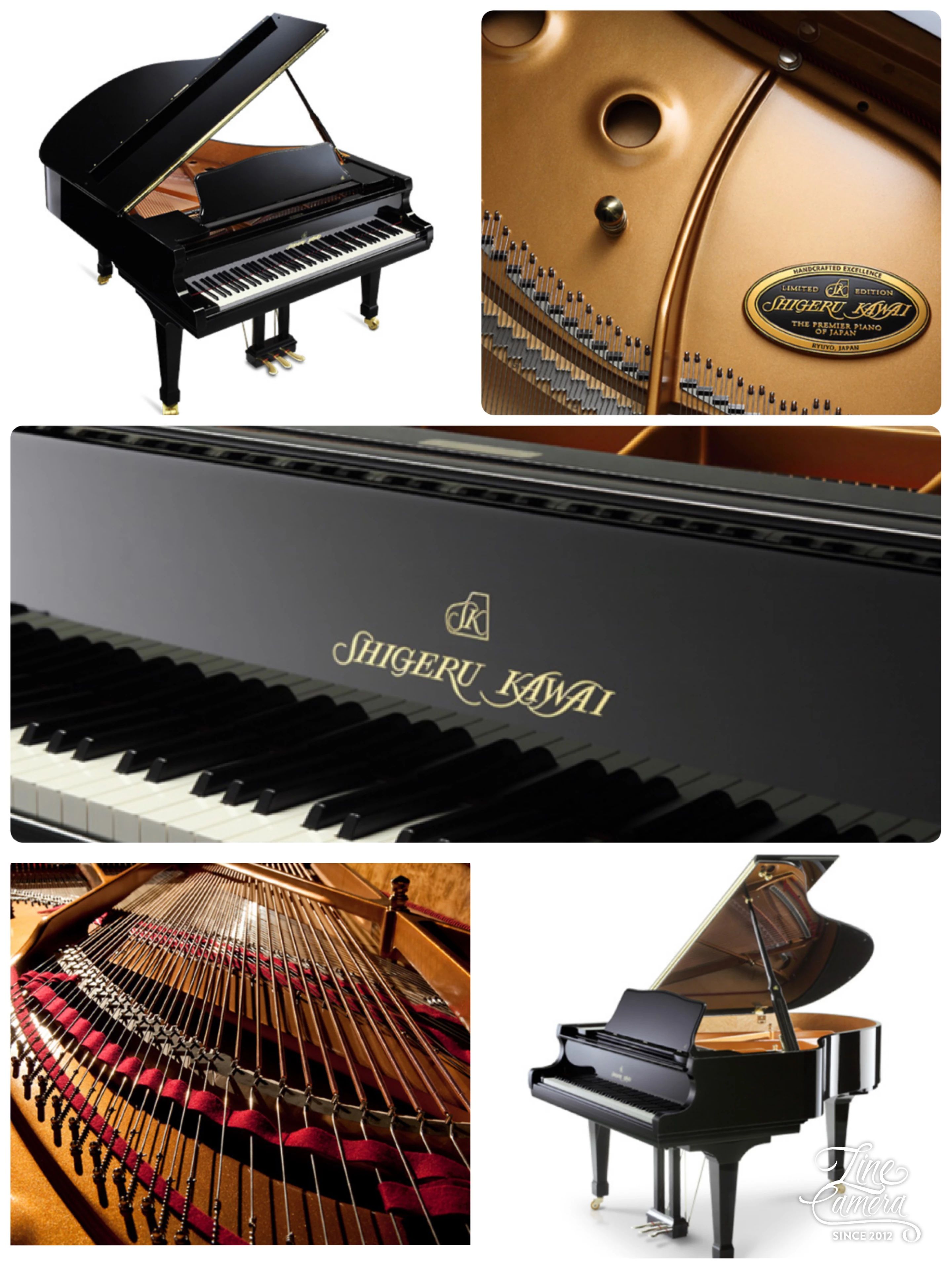 あんだんてピアノ教室[愛知県] 井堀教室のサムネイル画像 2