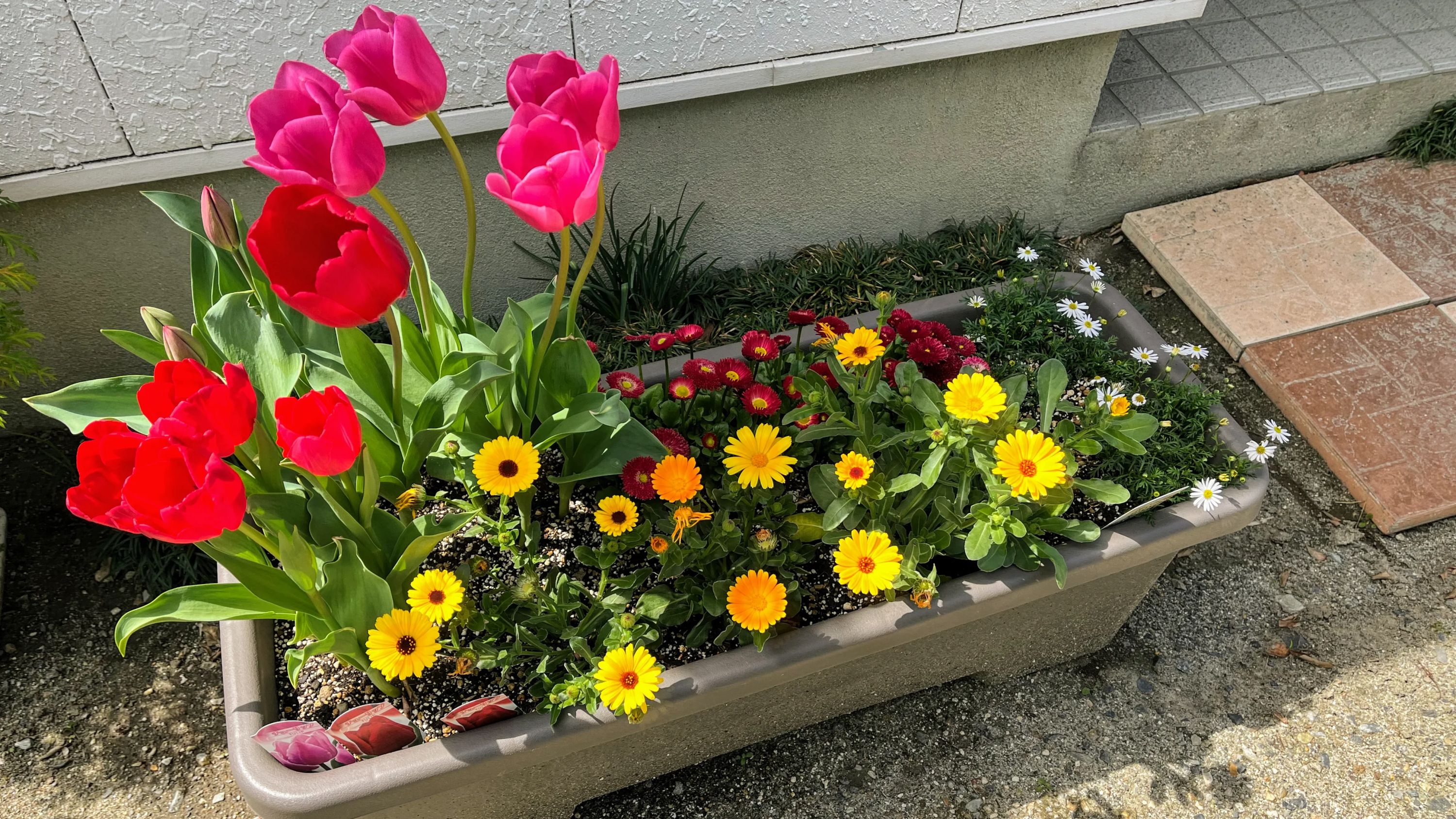 桐山音楽教室 ピアノ 浜田町教室のサムネイル画像 4