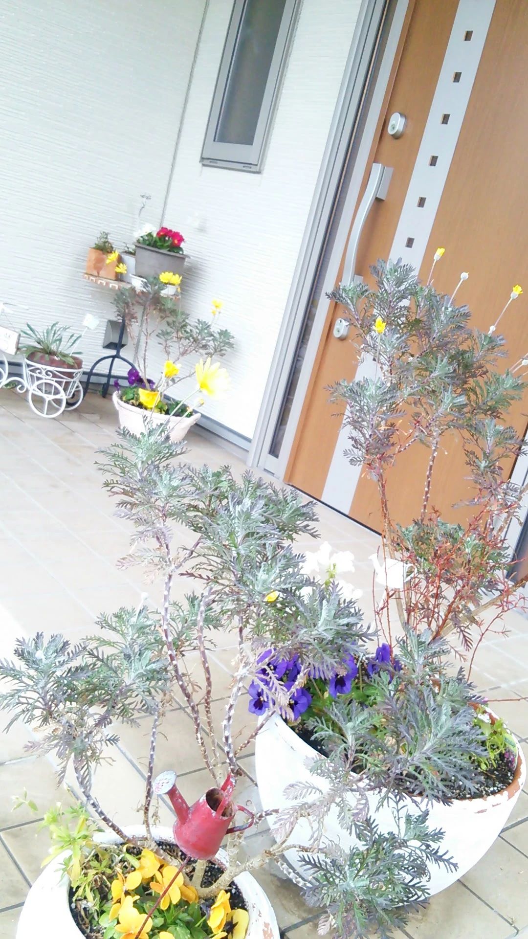 のむらピアノ教室 多加木教室のサムネイル画像 4