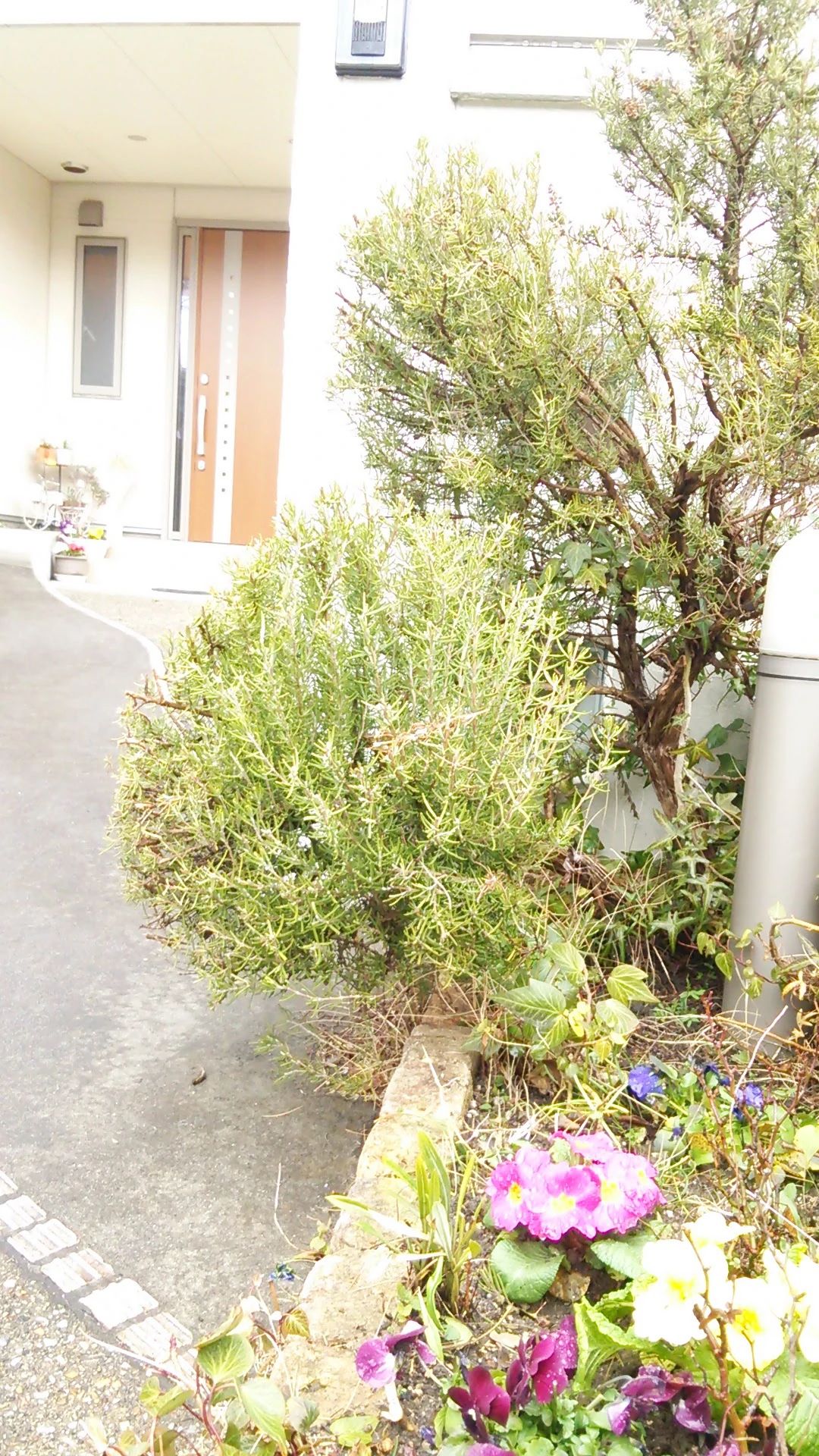 木村ピアノ&エレクトーン教室 多加木教室のサムネイル画像 3