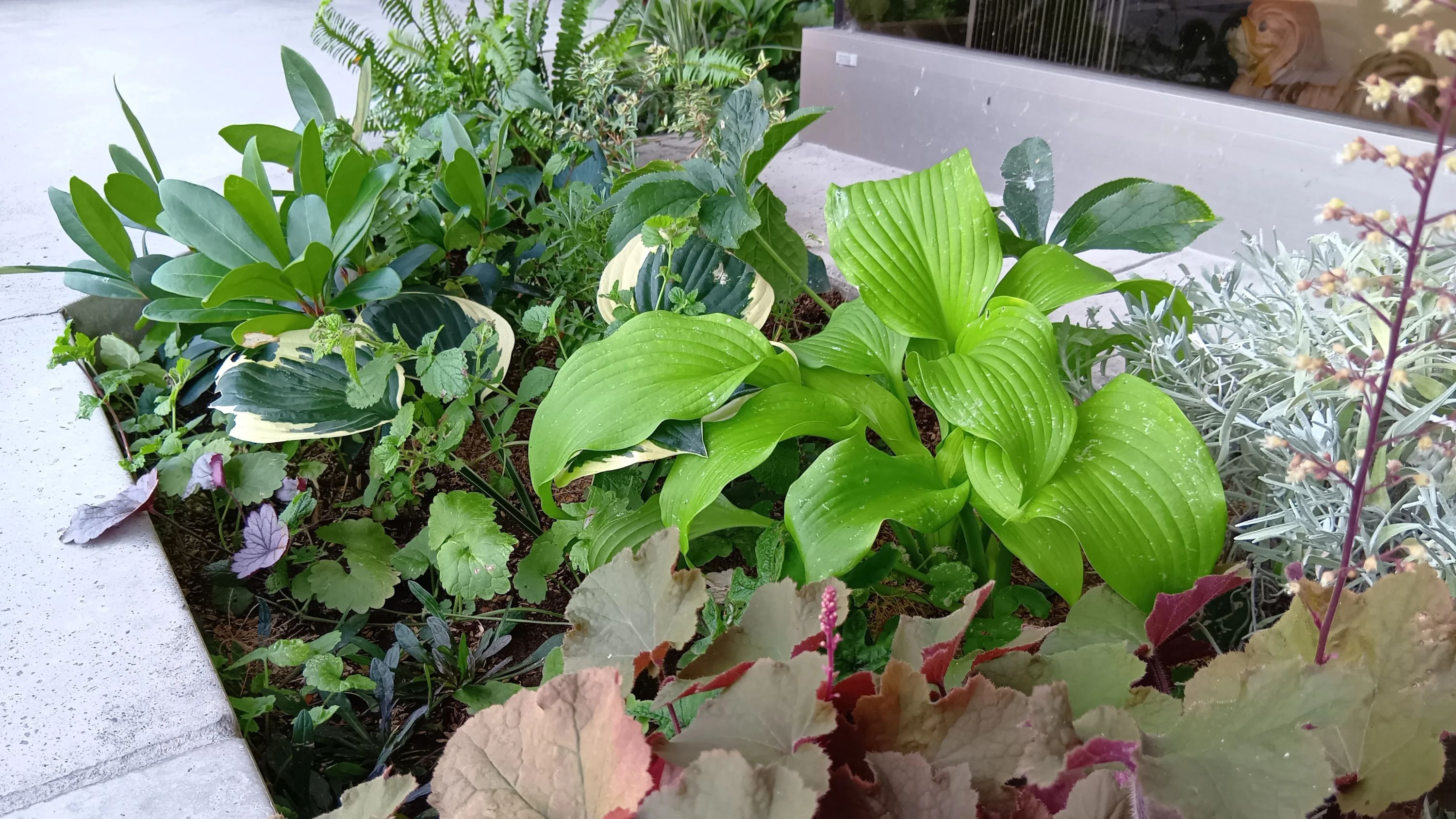 ハセガワ楽器 ピアノ 奥 町のサムネイル画像 3