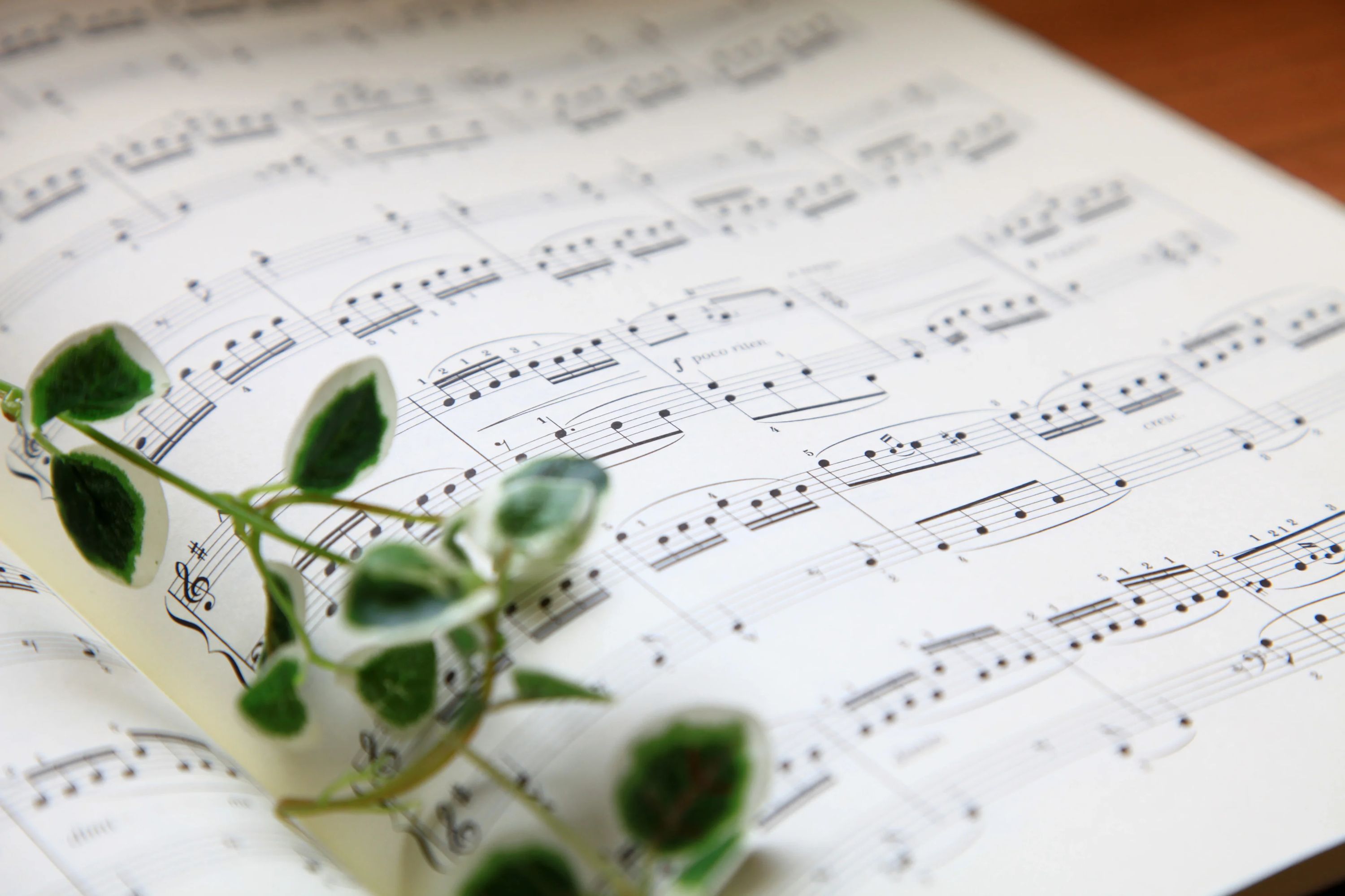 林本ピアノ教室 草井町教室のサムネイル画像 5