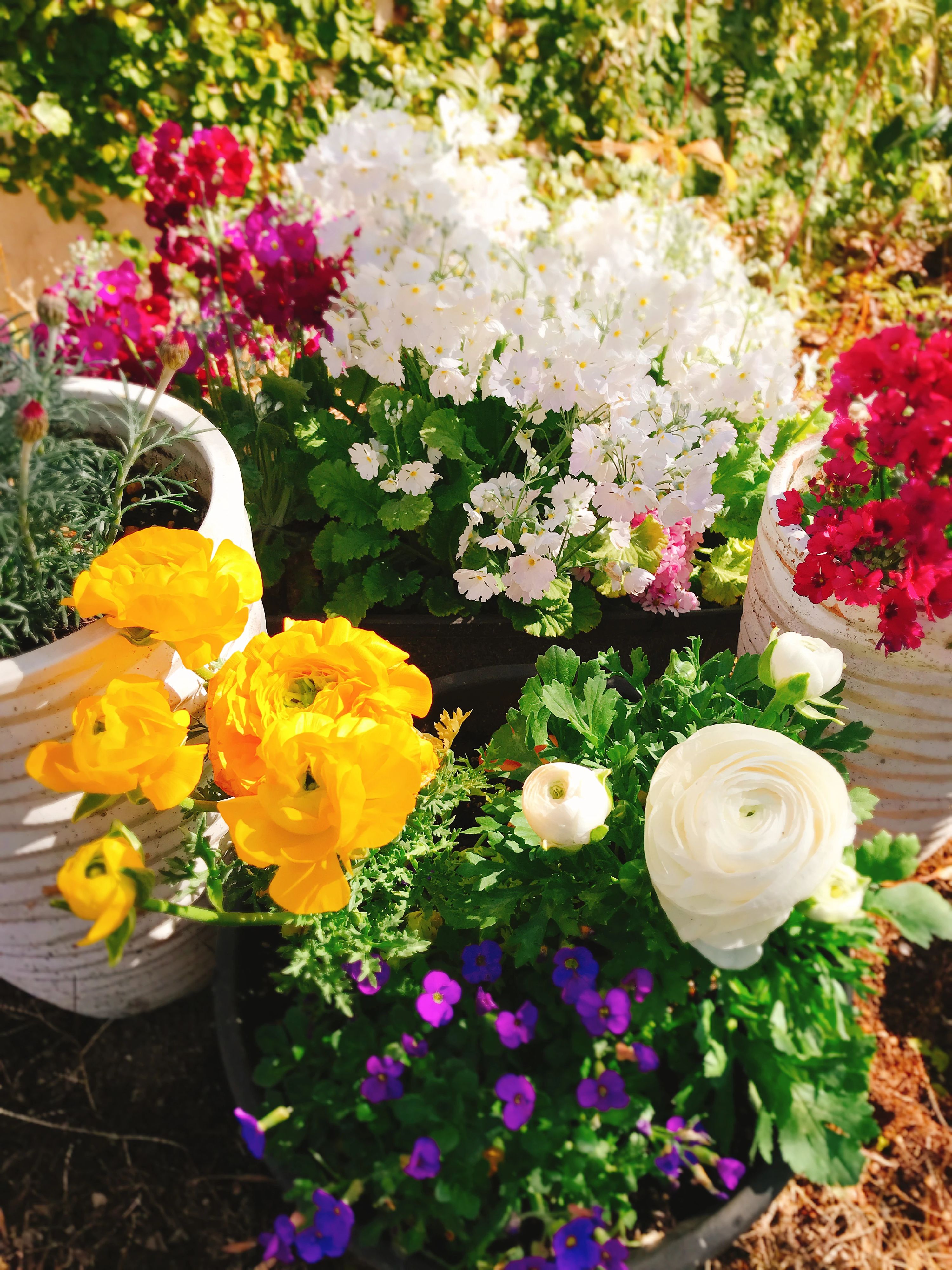 松下ピアノ教室 大清水教室のサムネイル画像 4