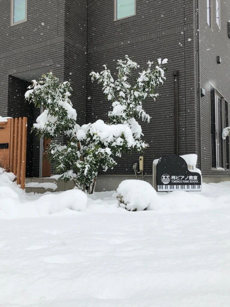 梣ピアノ教室 綾野教室のサムネイル画像 3