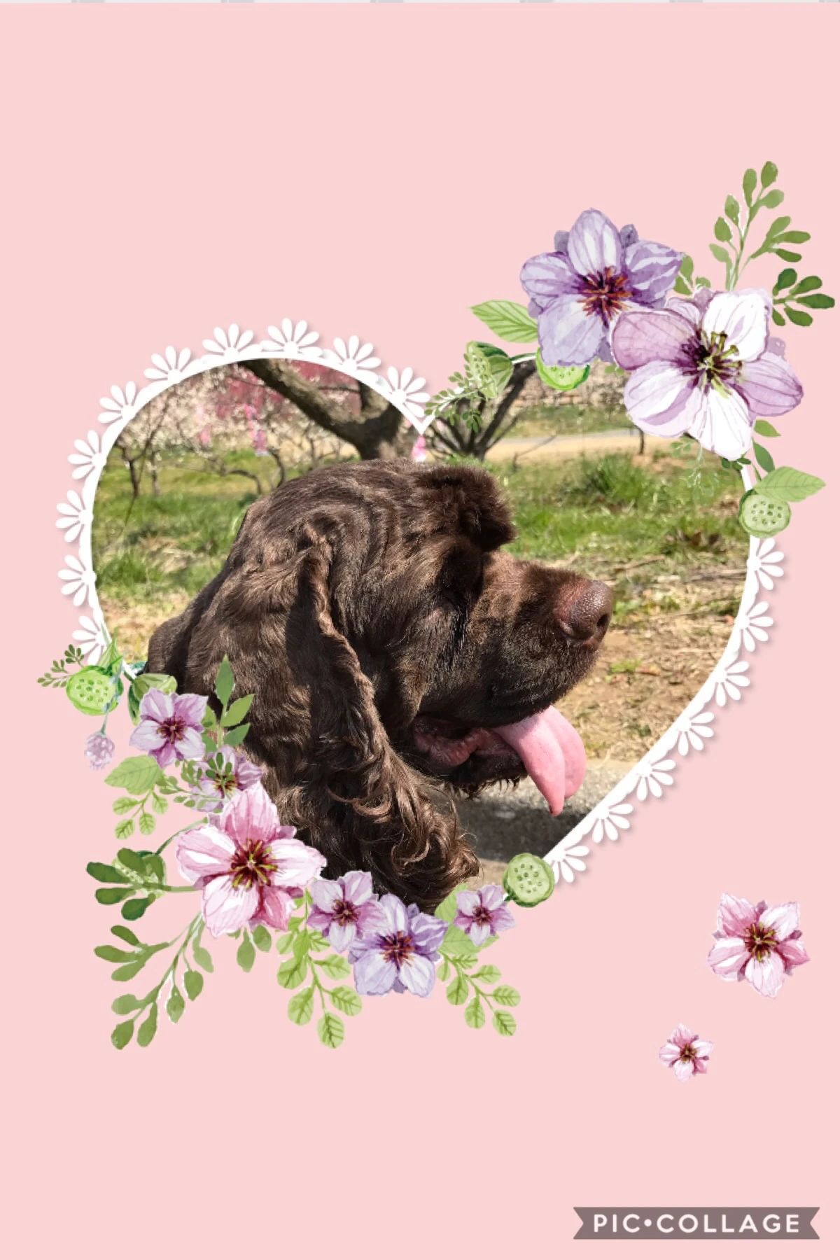 Flugel Piano(フリューゲルピアノ) 本巣市教室のサムネイル画像 4