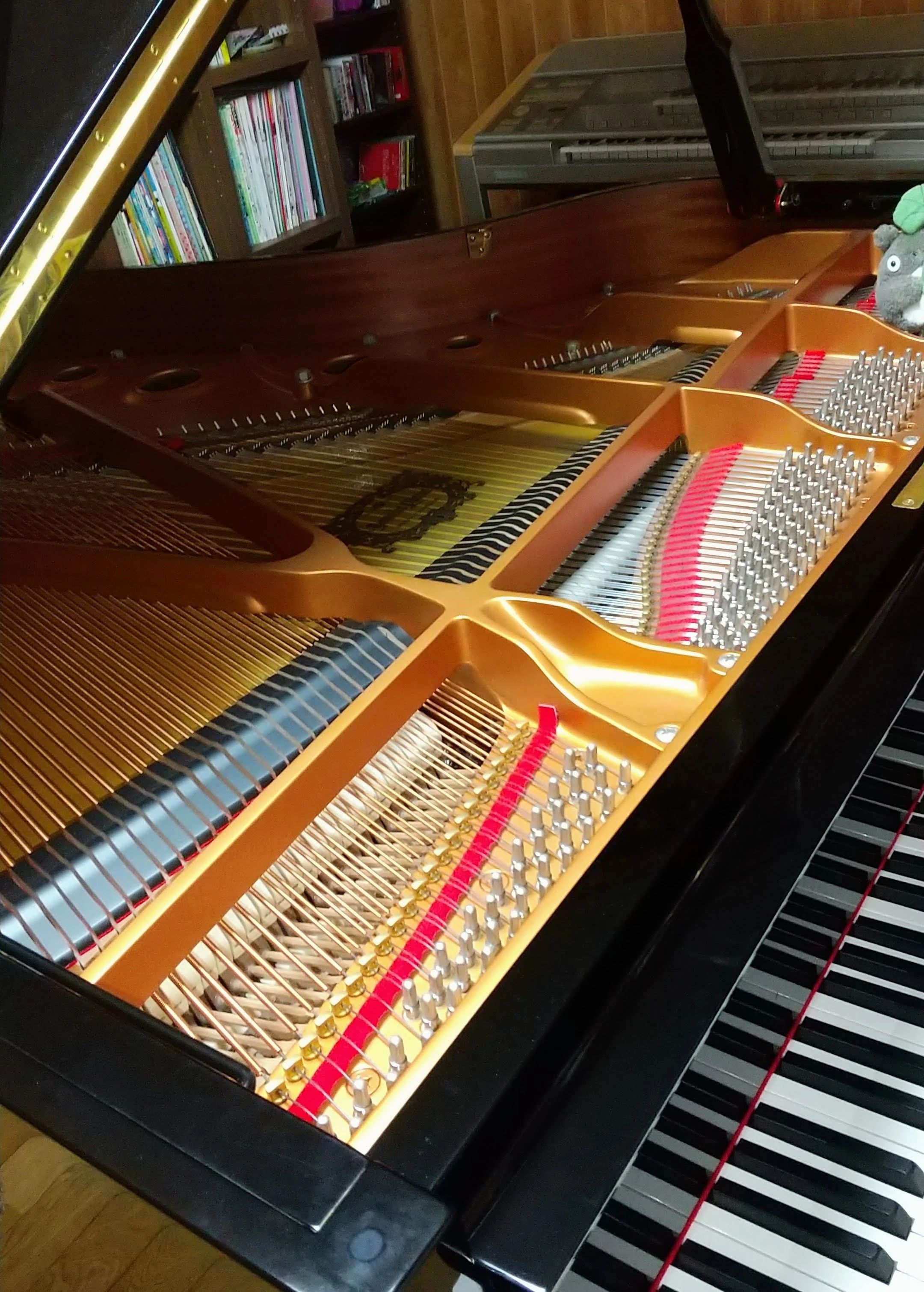 ピアノ&エレクトーン教室Largo 下恵土教室のサムネイル画像 2