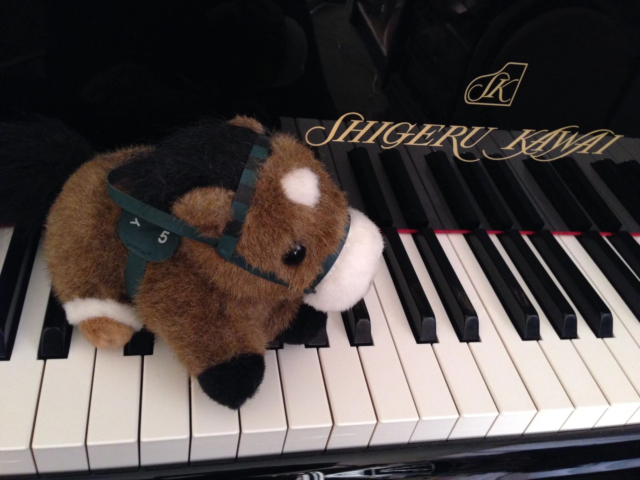 ピアーチェノ 山本ちえこピアノ教室 磐田市教室のサムネイル画像 5