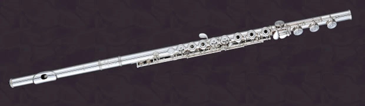 フルートマスターズ ピアノ 新居町教室のメイン画像