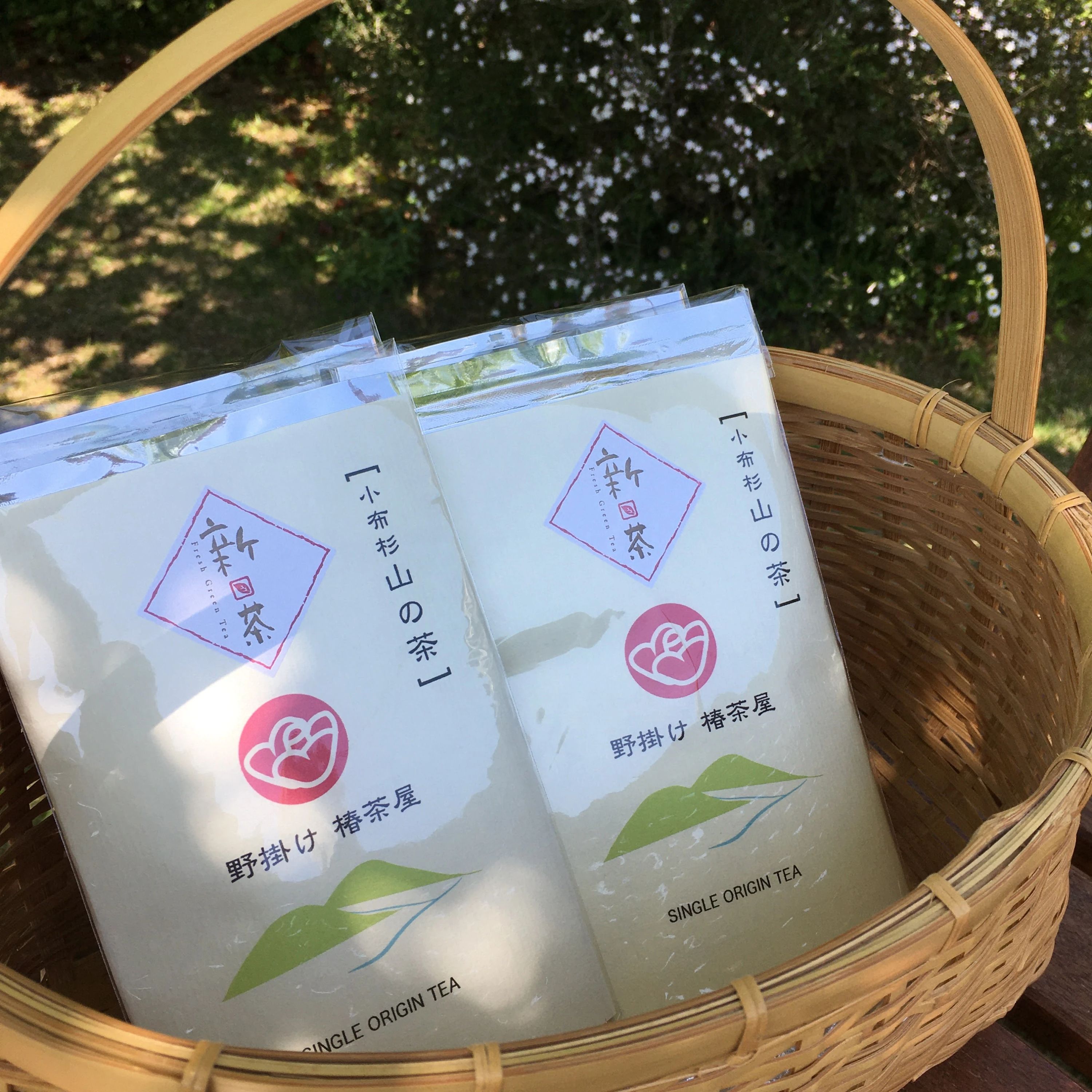 つばきピアノ教室 岡部町教室のサムネイル画像 2