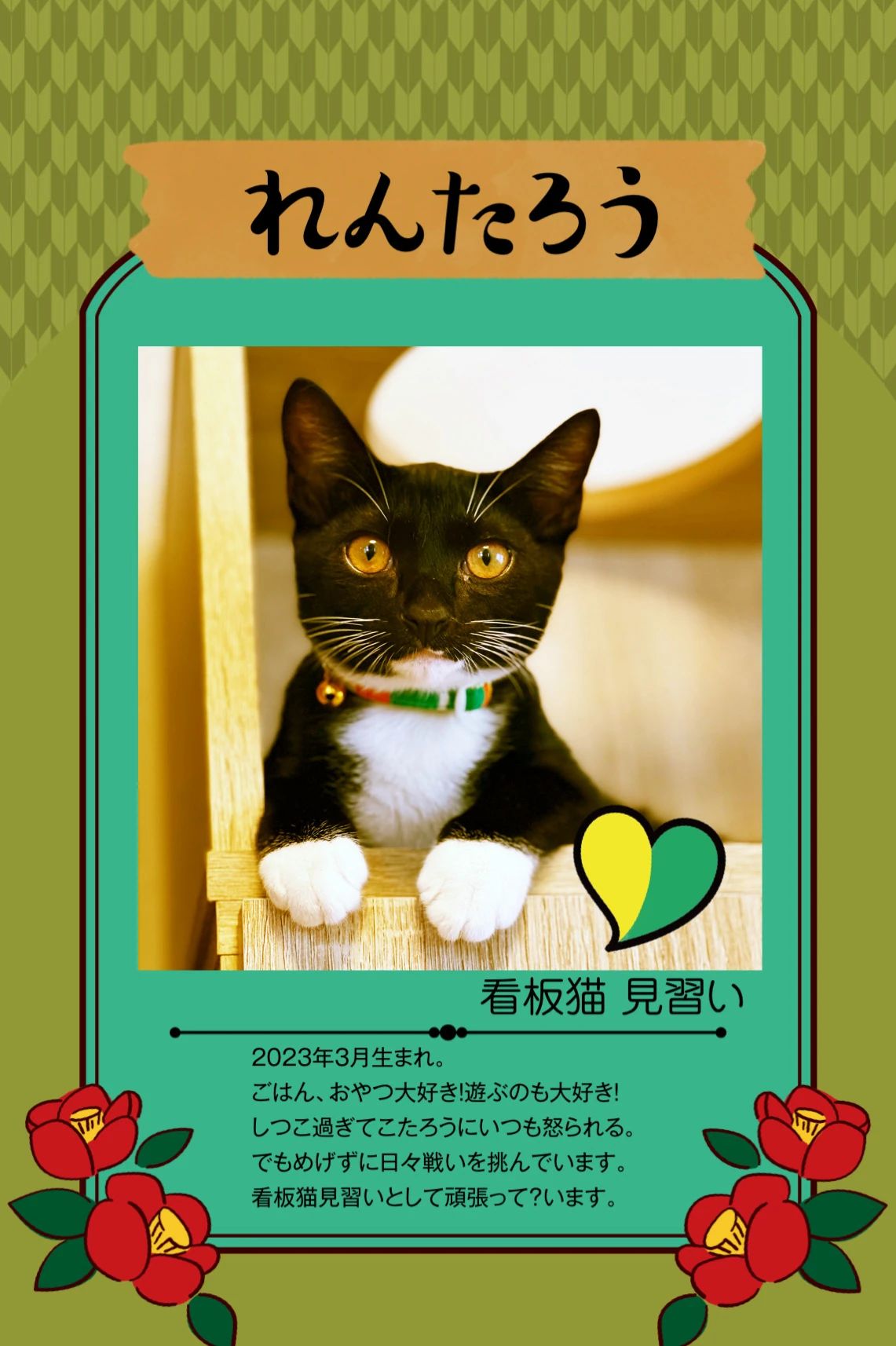 しみずみきこピアノ教室 大社町教室のメイン画像