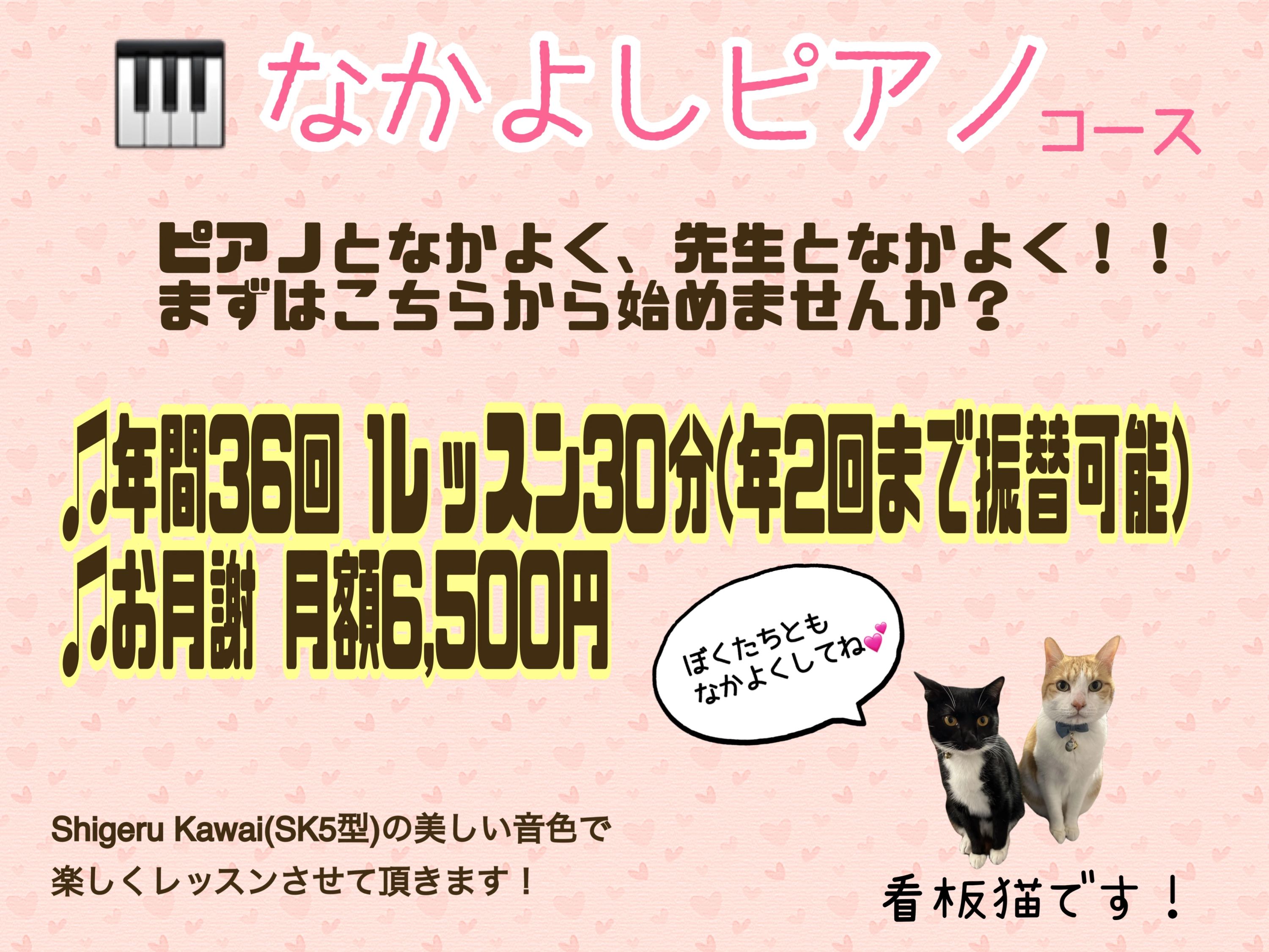 しみずみきこピアノ教室 大社町教室のサムネイル画像 3