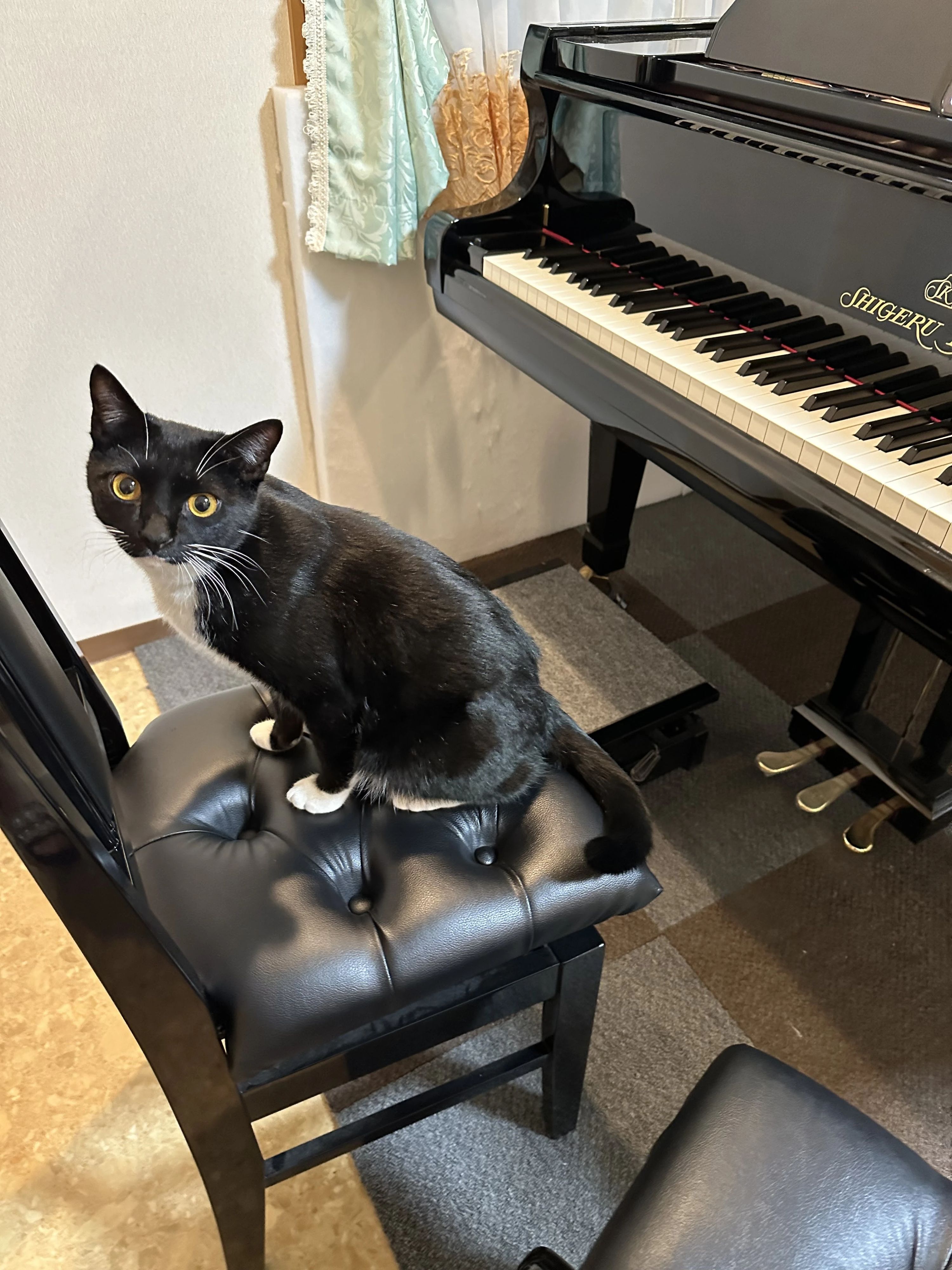 しみずみきこピアノ教室 大社町教室のサムネイル画像 5