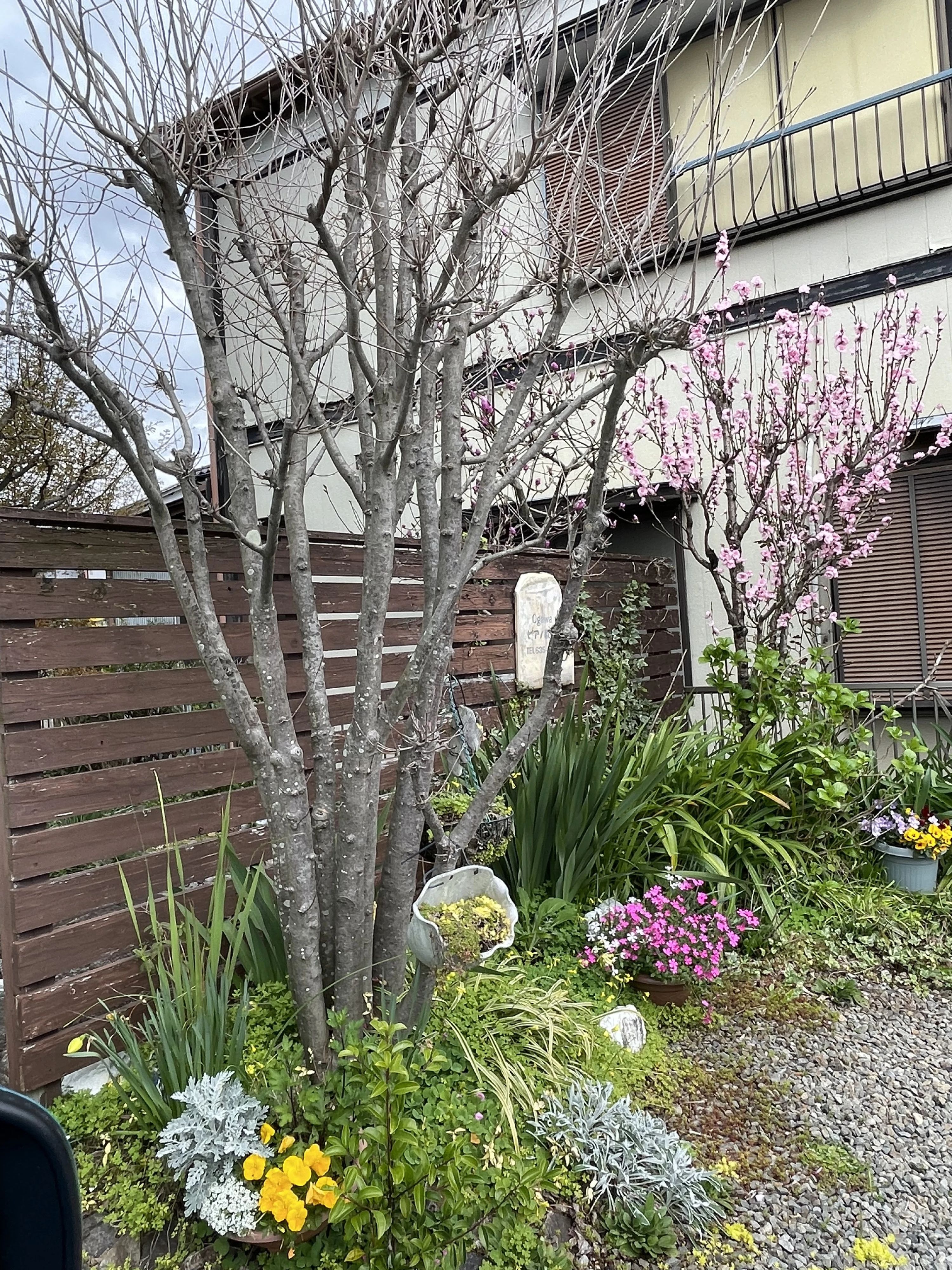 小川ピアノ教室 田沼教室のサムネイル画像 3