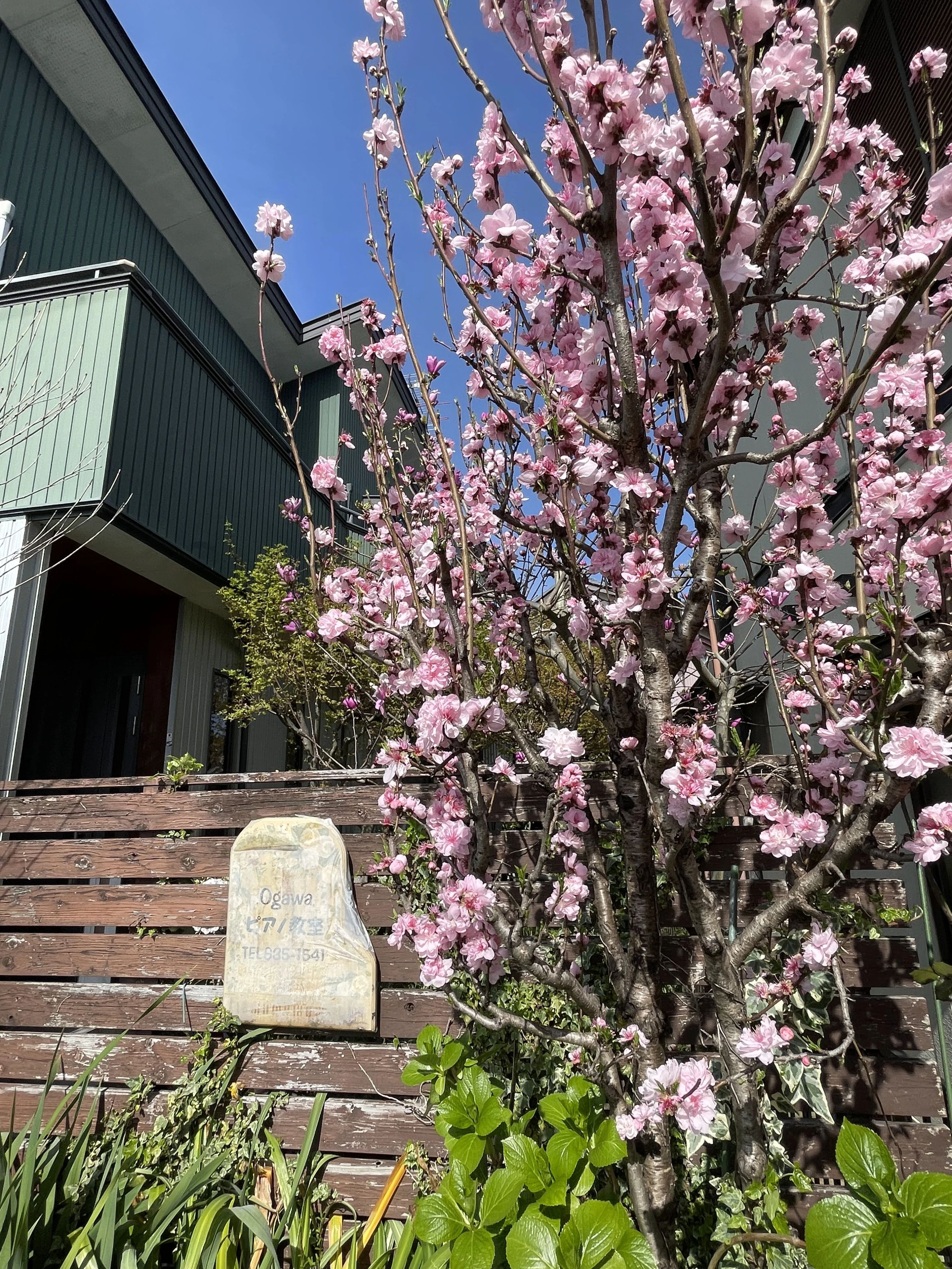 小川ピアノ教室 田沼教室のサムネイル画像 5