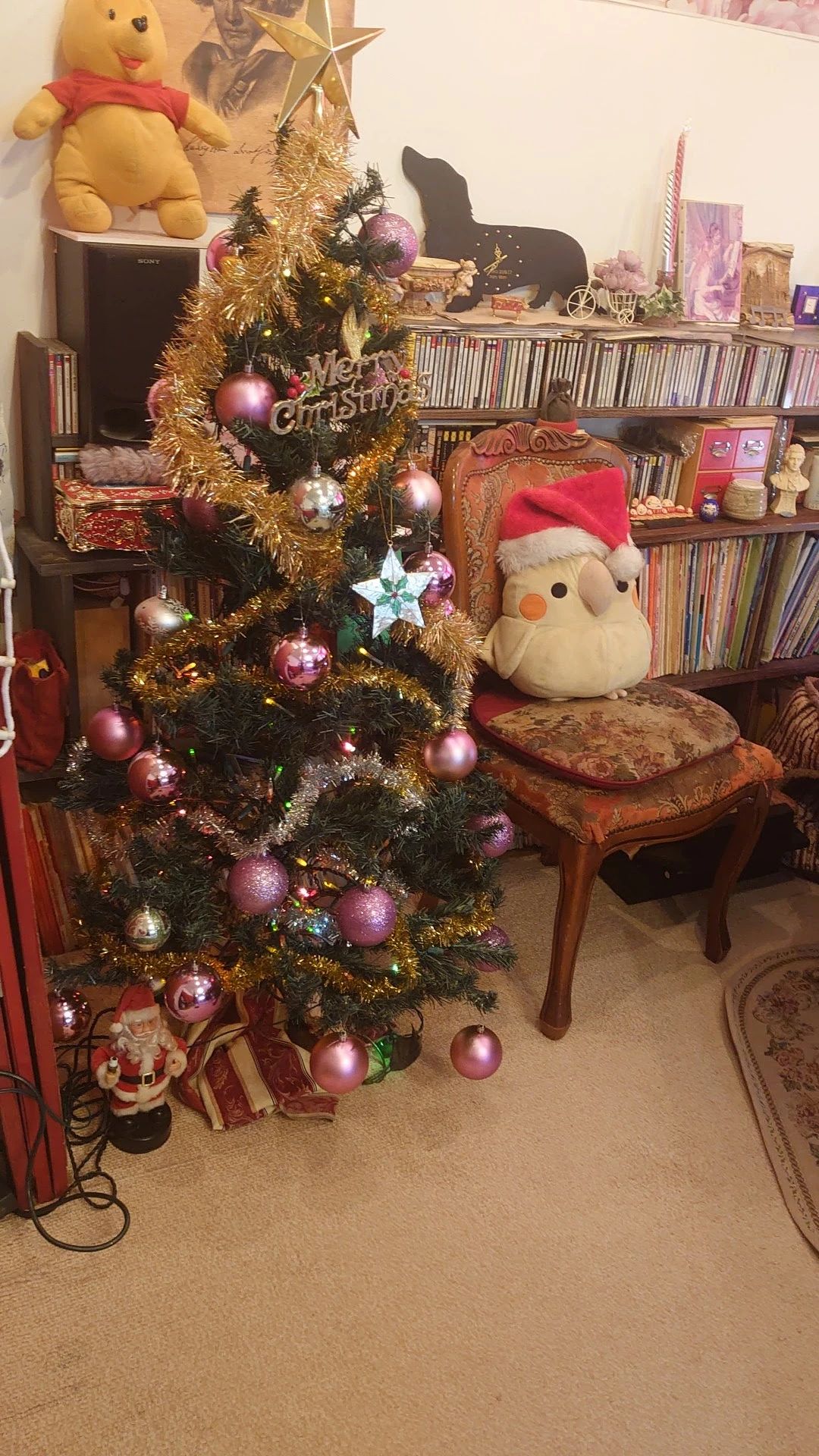 坂井恵子ピアノ教室 嬉野中川町教室のサムネイル画像 2