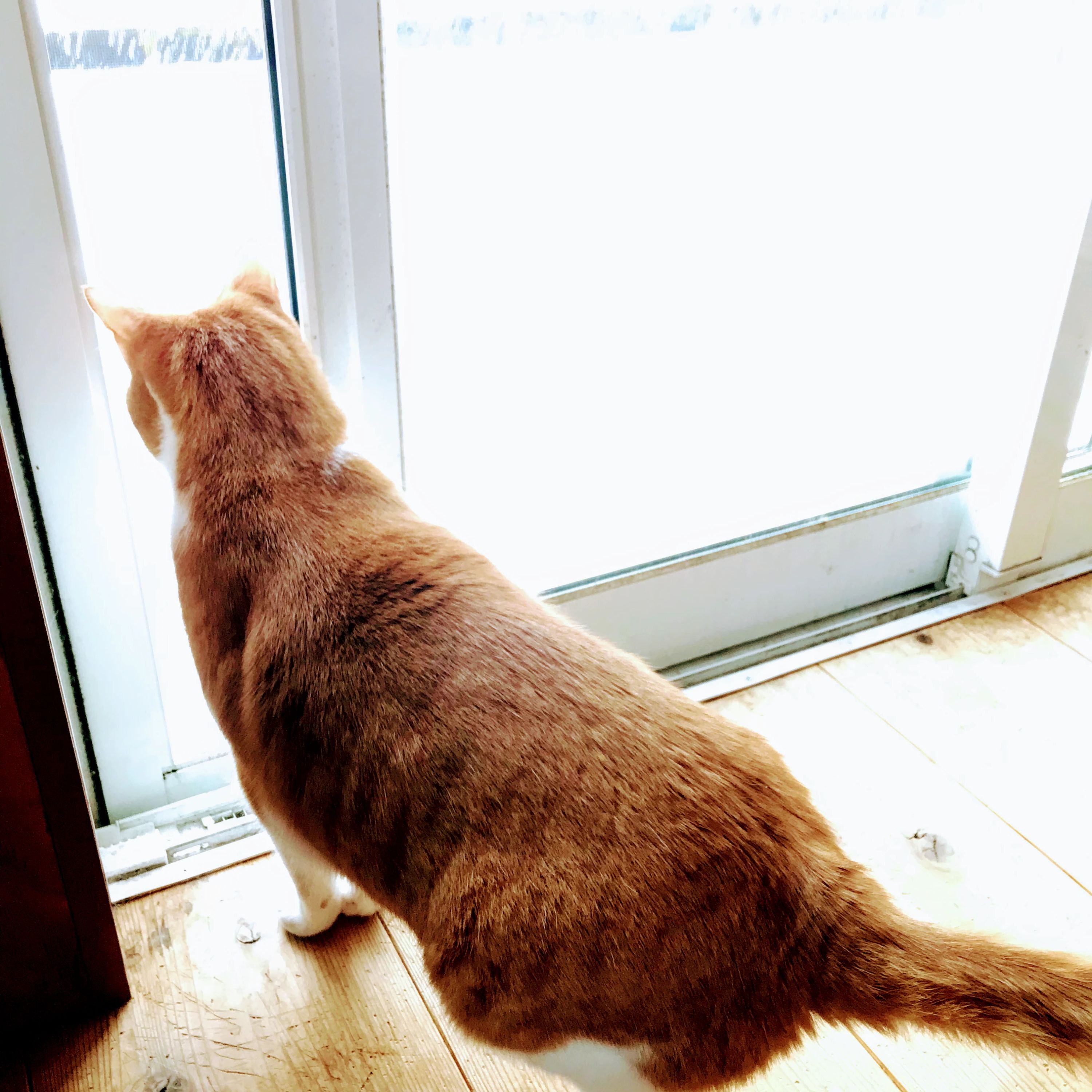 きらきらひかるぴあの教室 大安教室のサムネイル画像 3