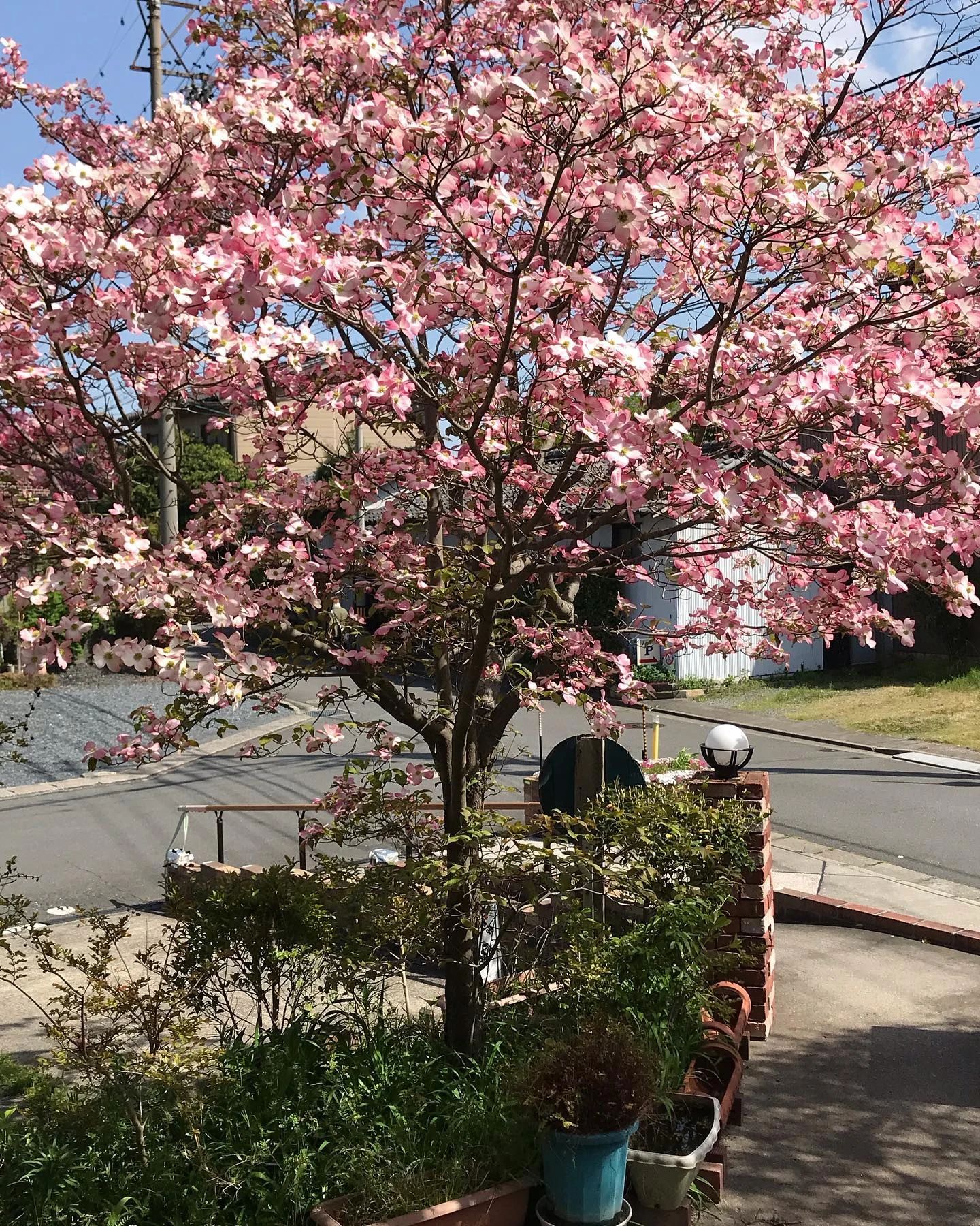 ぴあのサロン・ロータス 蓮見町教室のサムネイル画像 3