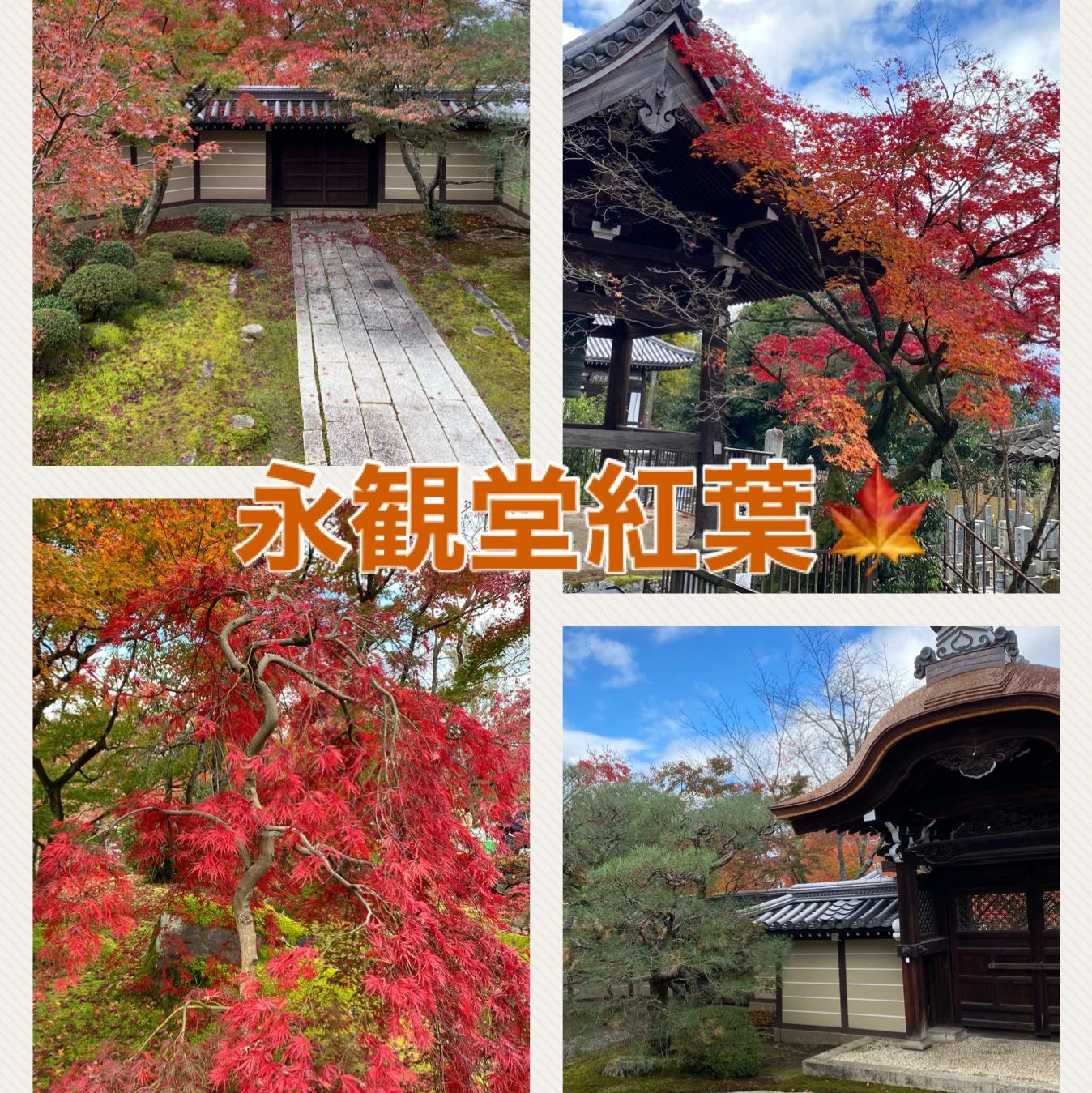 あきピアノ♪リトミック教室 太田東芝教室のサムネイル画像 2