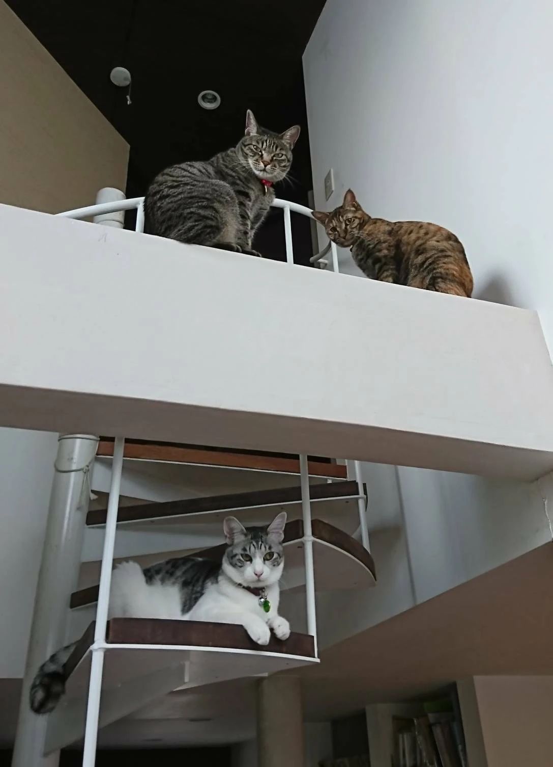 あやとピアノ教室 大今里西教室のメイン画像