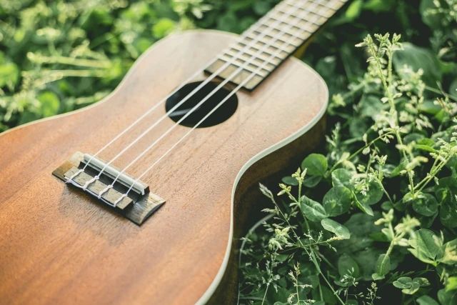 ココカラ館 ピアノ 佐井寺教室のサムネイル画像 2