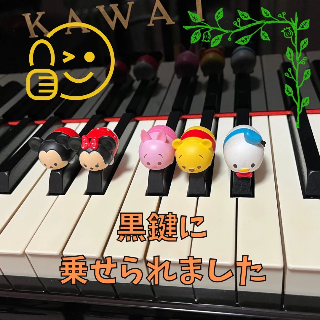 小さな音楽教室 めばえ ピアノ 永田教室のサムネイル画像 2