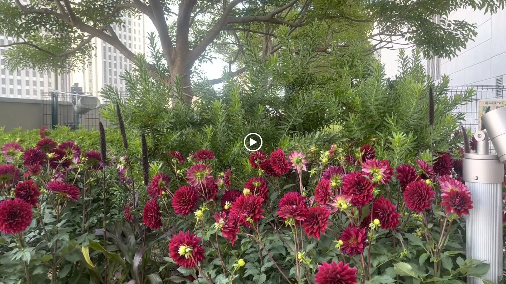 Salon de reve musique(サロン デ レーヴ ミュージック) ピアノ 梅田教室のメイン画像