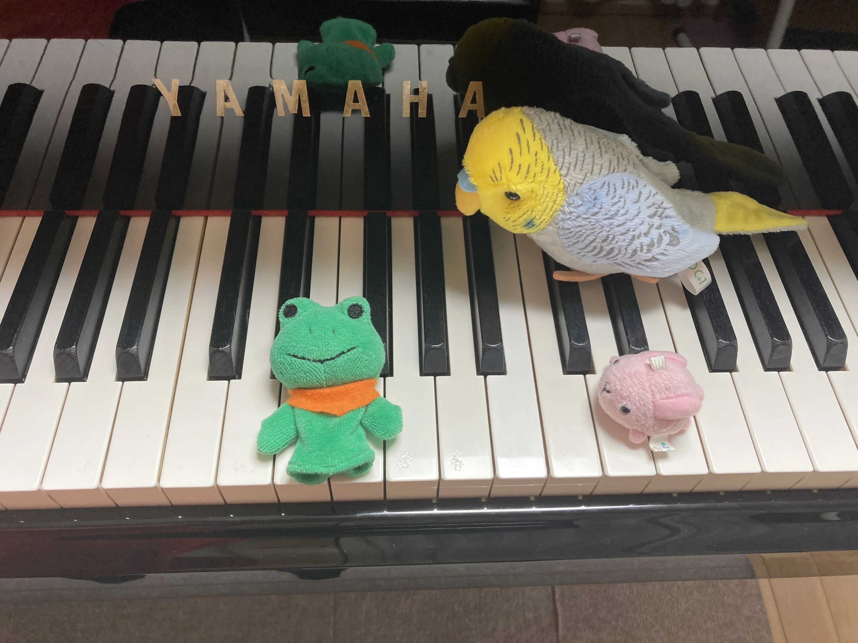 Banmiピアノ教室 東小橋教室のサムネイル画像 3