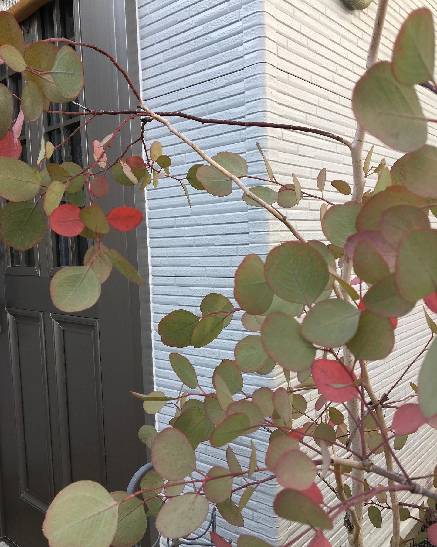 かおり音の教室 ピアノ 桃谷教室のメイン画像