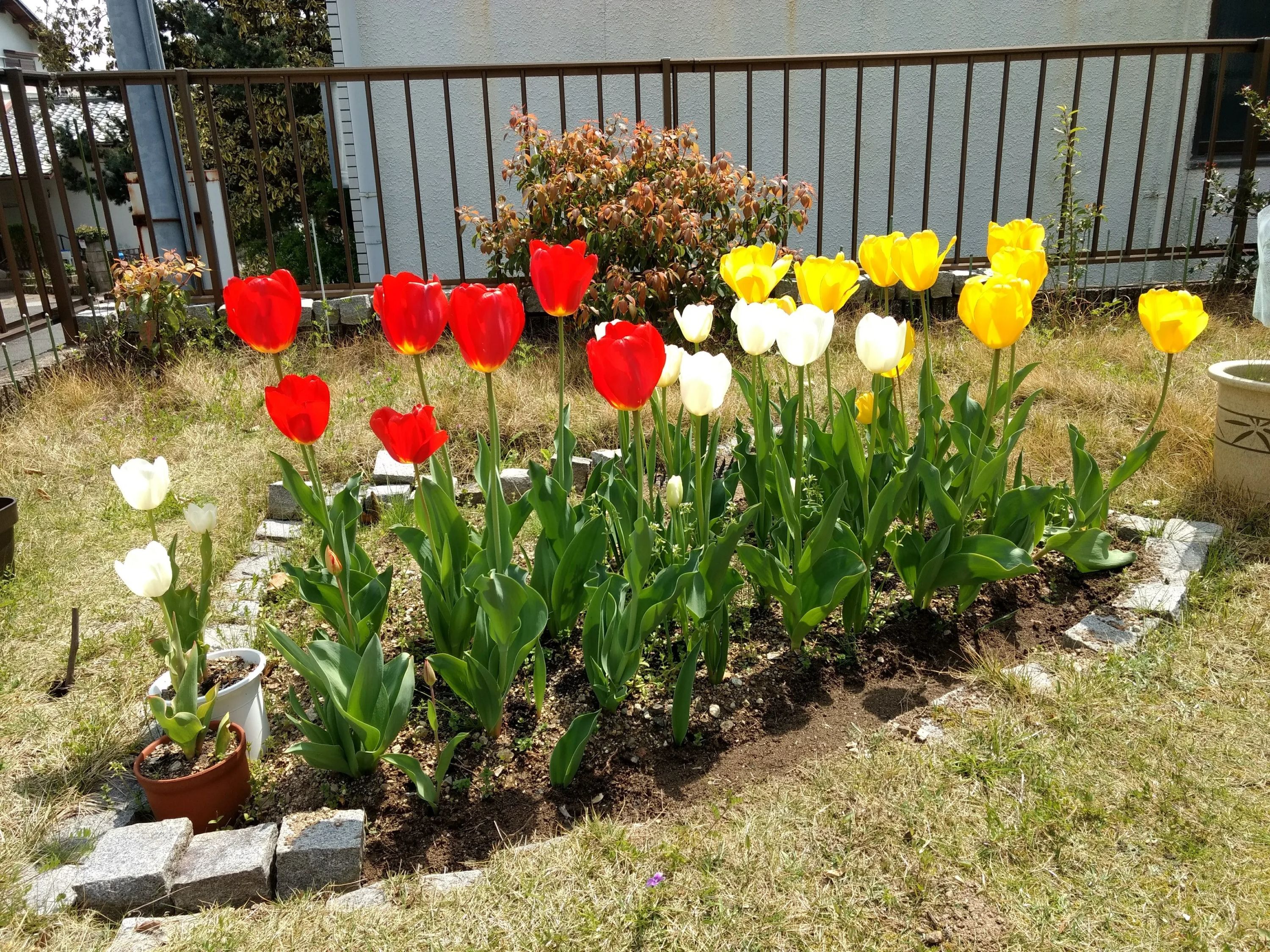 宝塚音楽アカデミー・ピアノ・ソルフェージュ教室 中山五月台教室のメイン画像