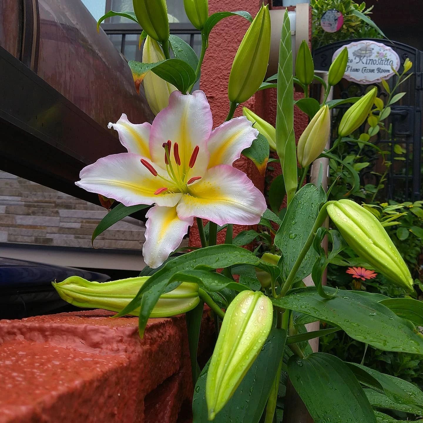 木下ピアノ音楽教室 鈴蘭台北町教室のメイン画像