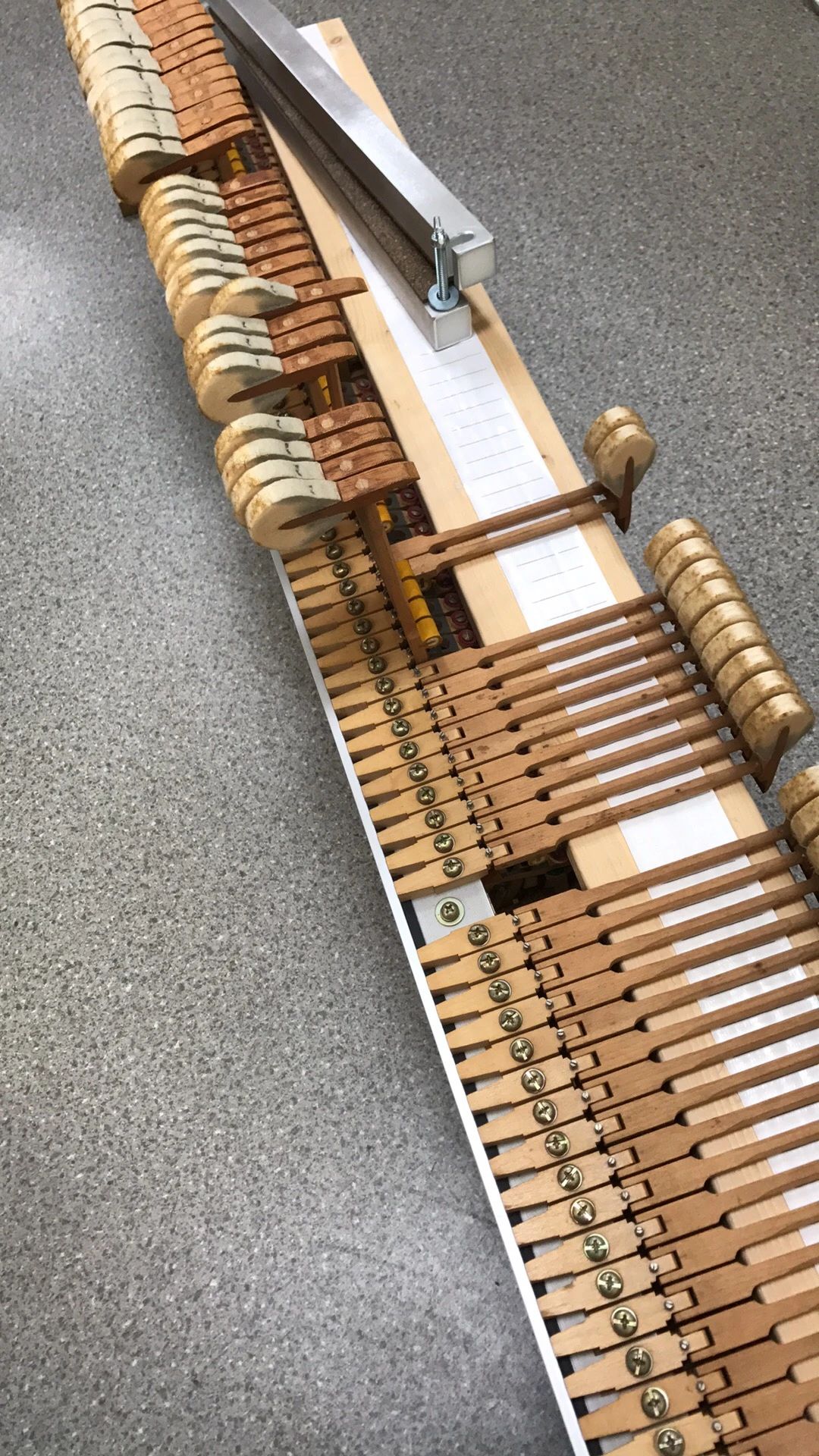 グーターコンパス ピアノ 今津曙町教室のメイン画像