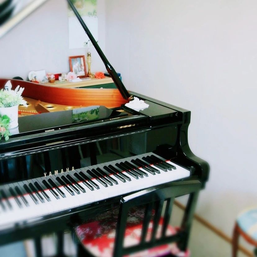 Aya Piano Lesson(アヤピアノサロン) すみれが丘教室のサムネイル画像 3