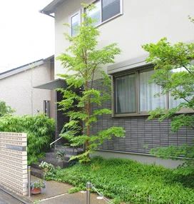 Klavichord Okano(クラヴィコート・オカノ) ピアノ 唐橋大宮尻町教室のメイン画像