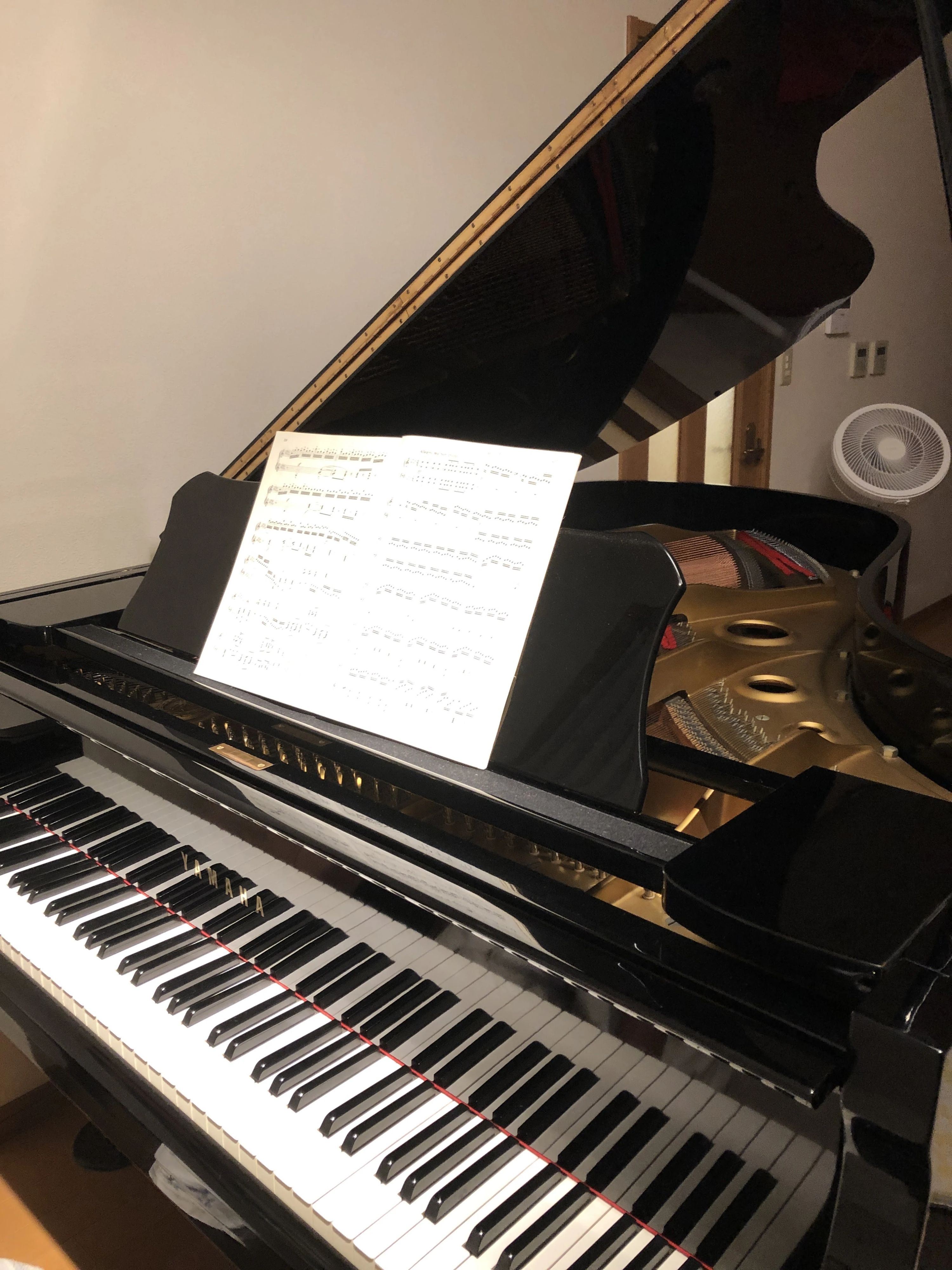 Amabile音楽教室 ピアノ 木幡御蔵山教室のサムネイル画像 3