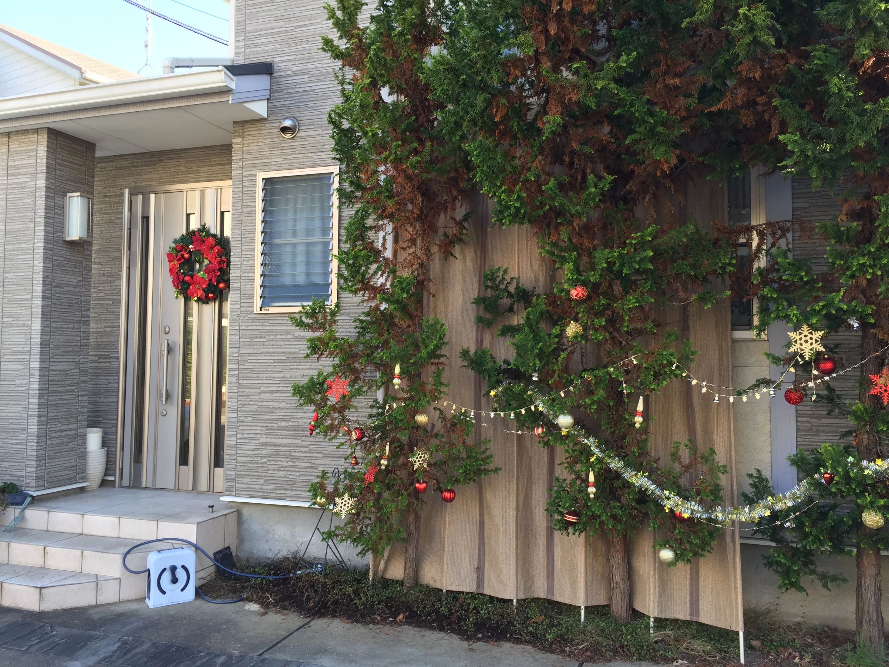 Amabile音楽教室 ピアノ 木幡御蔵山教室のサムネイル画像 5