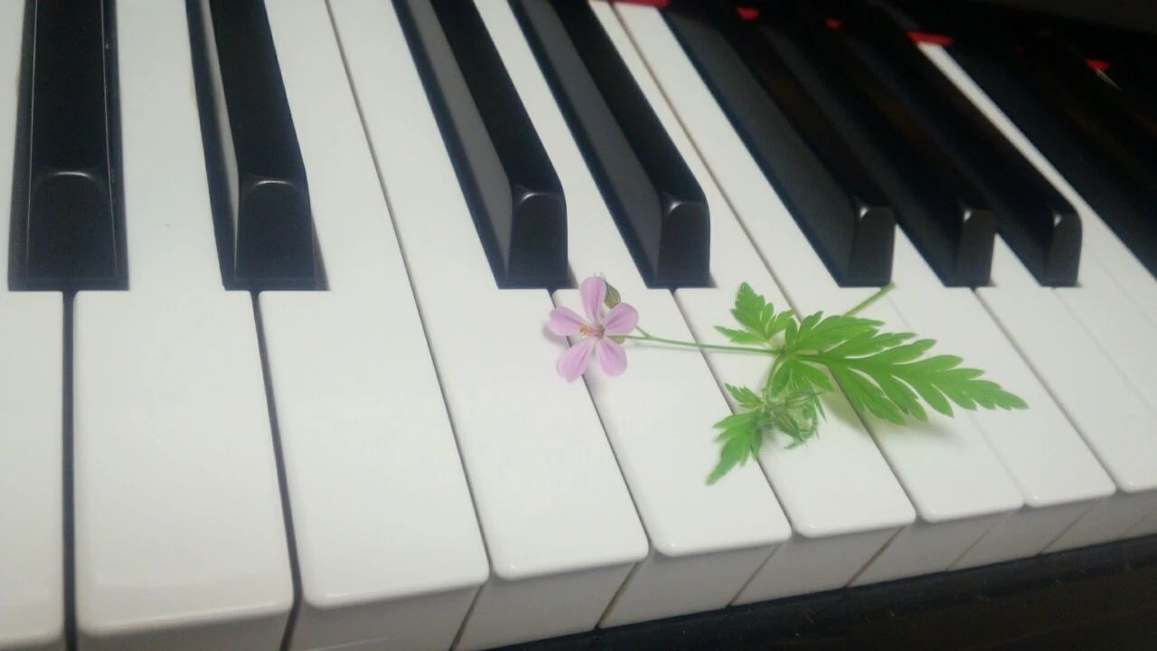 吉本ピアノ教室 下多良教室のメイン画像