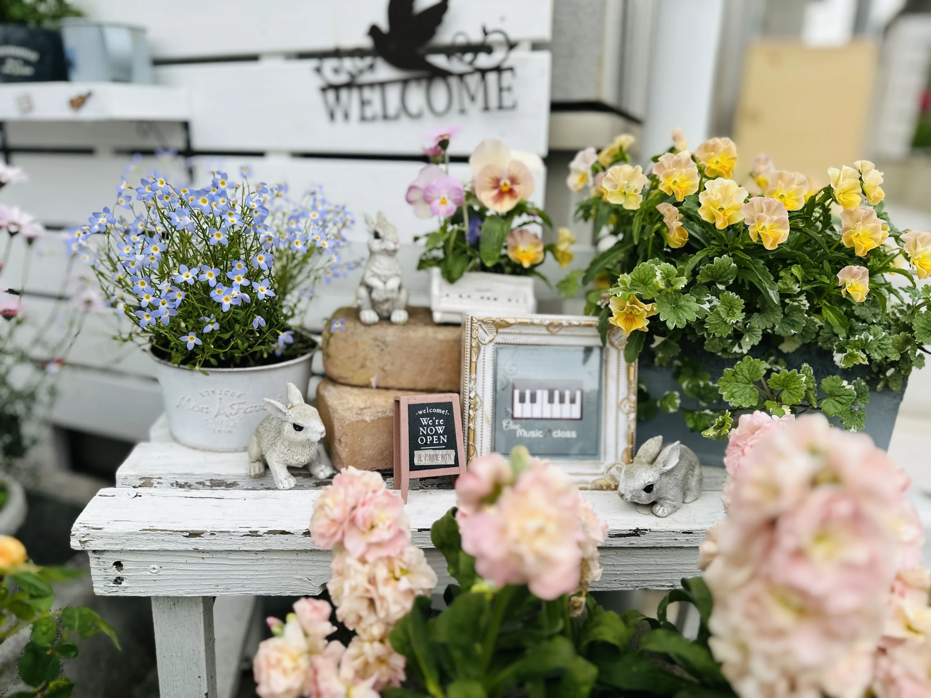 大野音楽教室 ピアノ 疋田教室のサムネイル画像 5