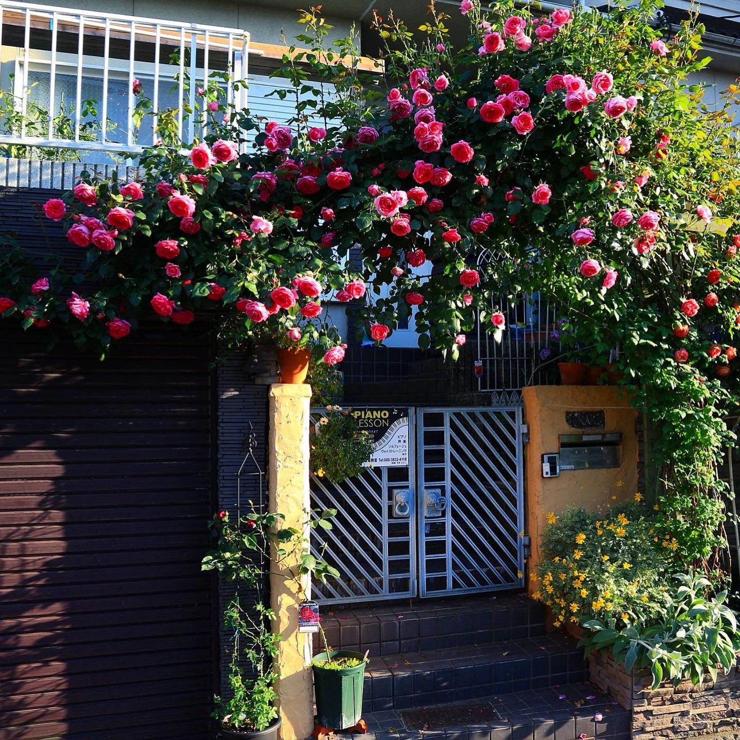大和郡山市エリーゼ音楽教室 ピアノ 九条町教室のサムネイル画像 3
