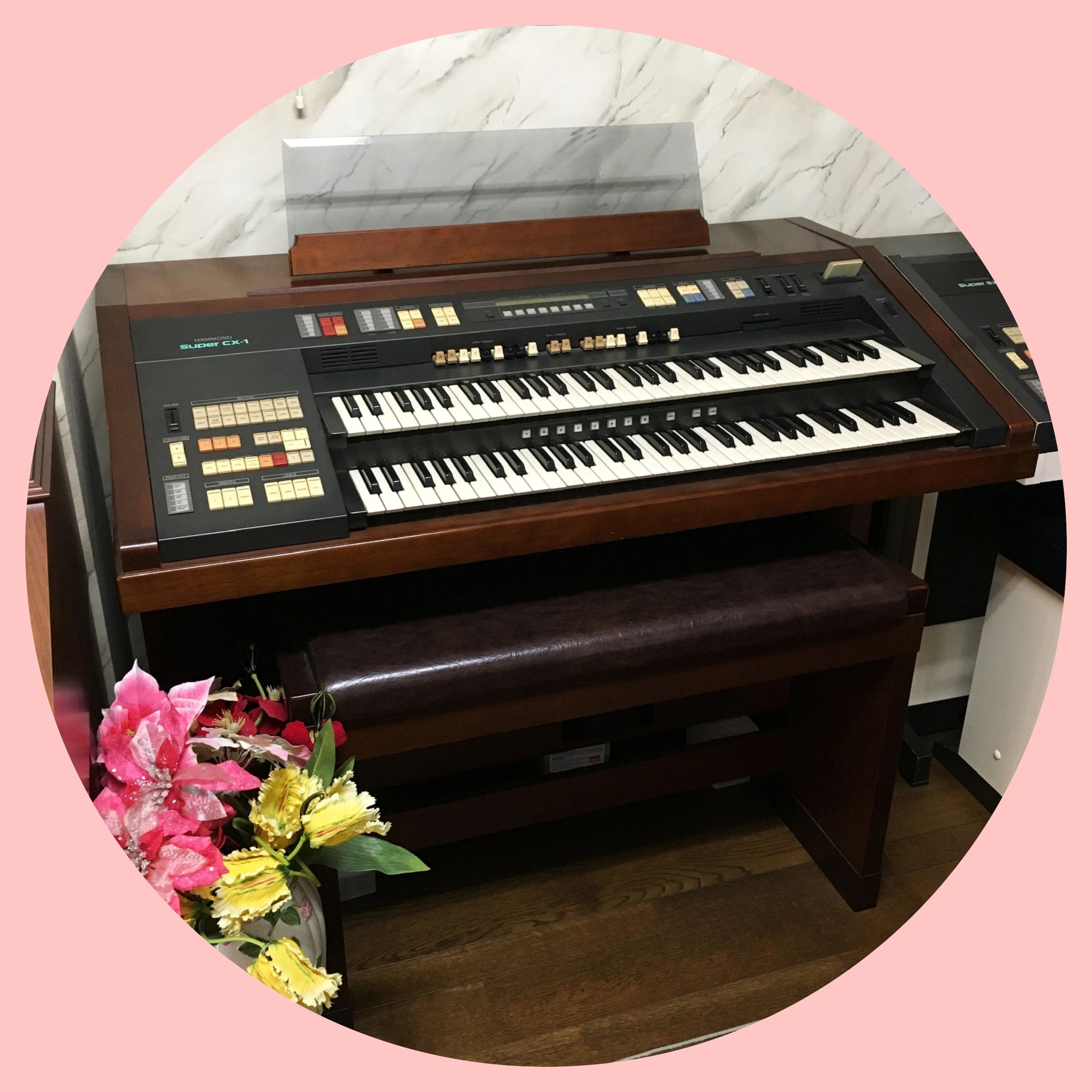 加藤楽器音楽教室 ピアノ 今在家教室のメイン画像