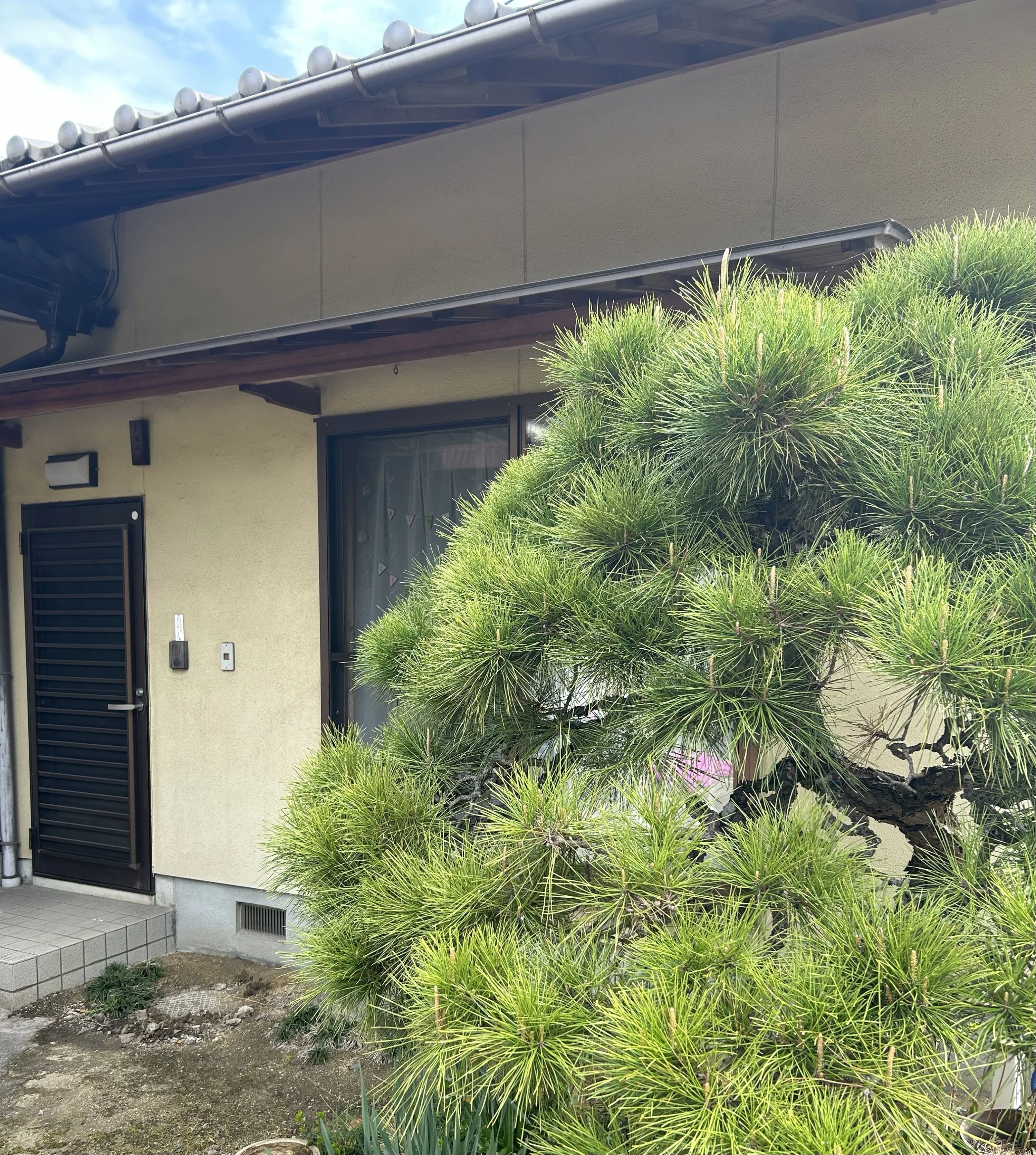 こずえぴあの教室 林教室のサムネイル画像 3