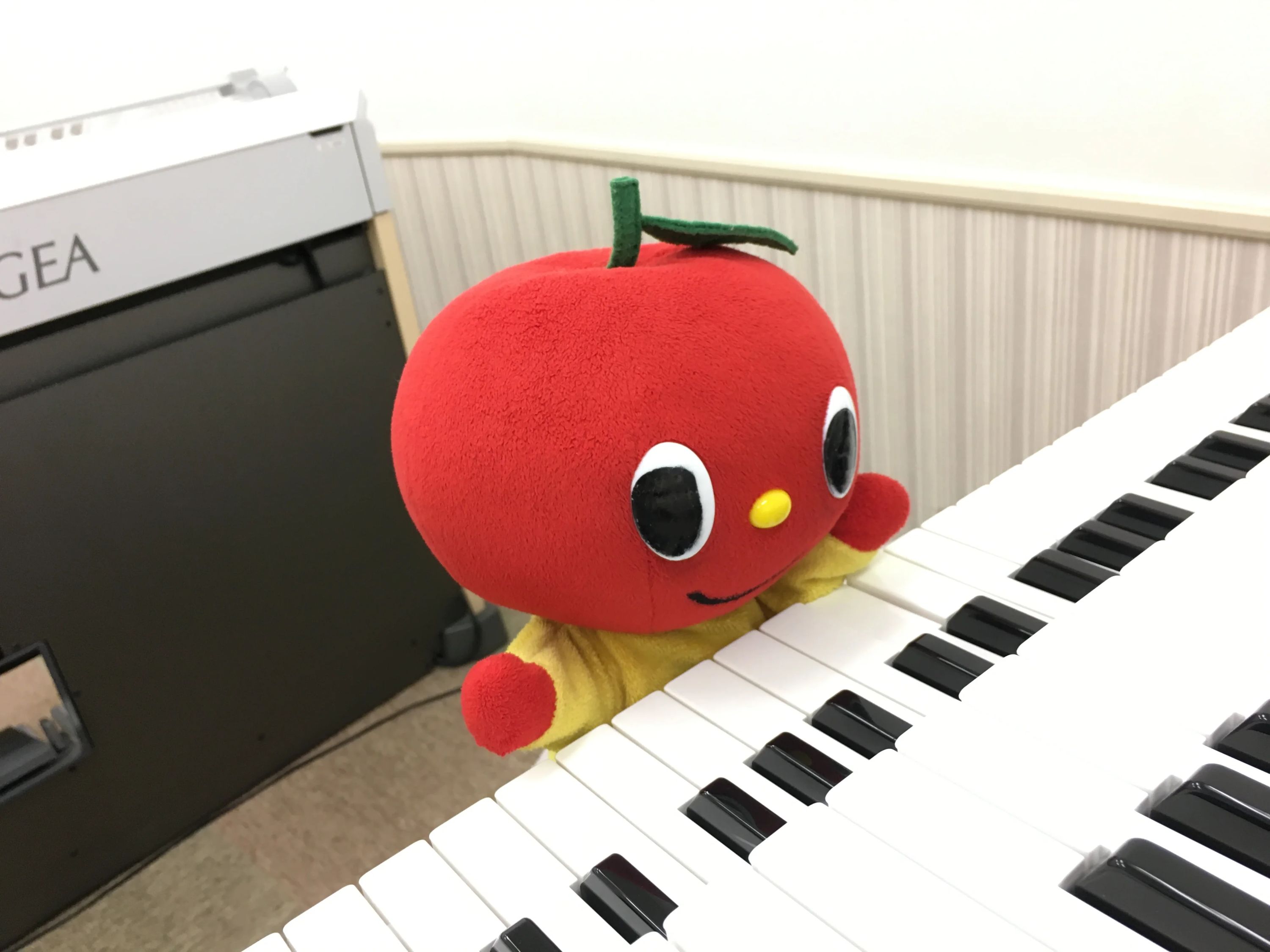 ヤマハ音楽教室 ピアノ ミュージックパークスガナミのメイン画像