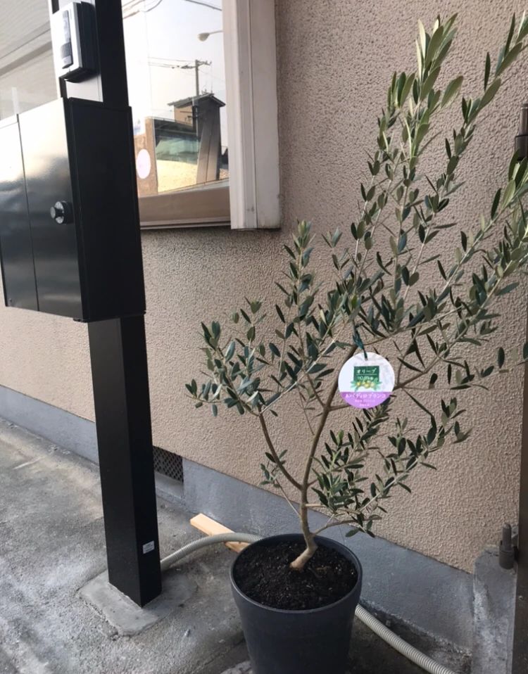 émuschool ピアノ 江波南教室のサムネイル画像 5