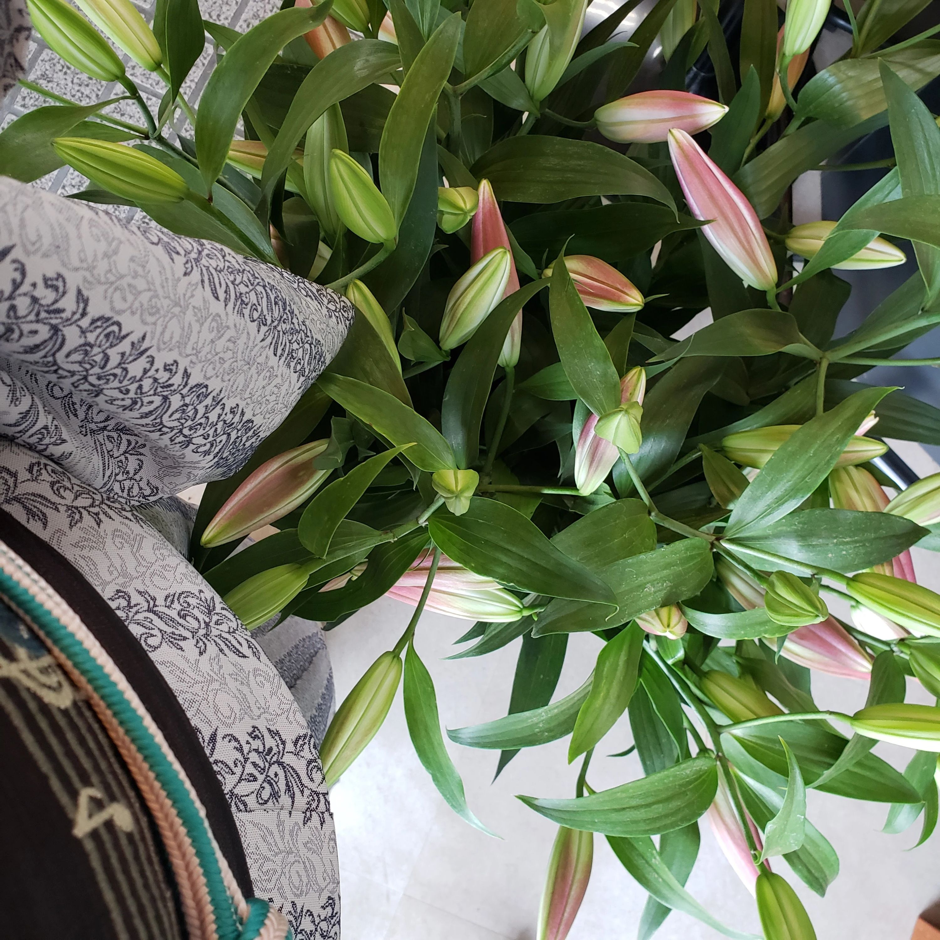 Brillante EMI ピアノ 旭教室のサムネイル画像 3