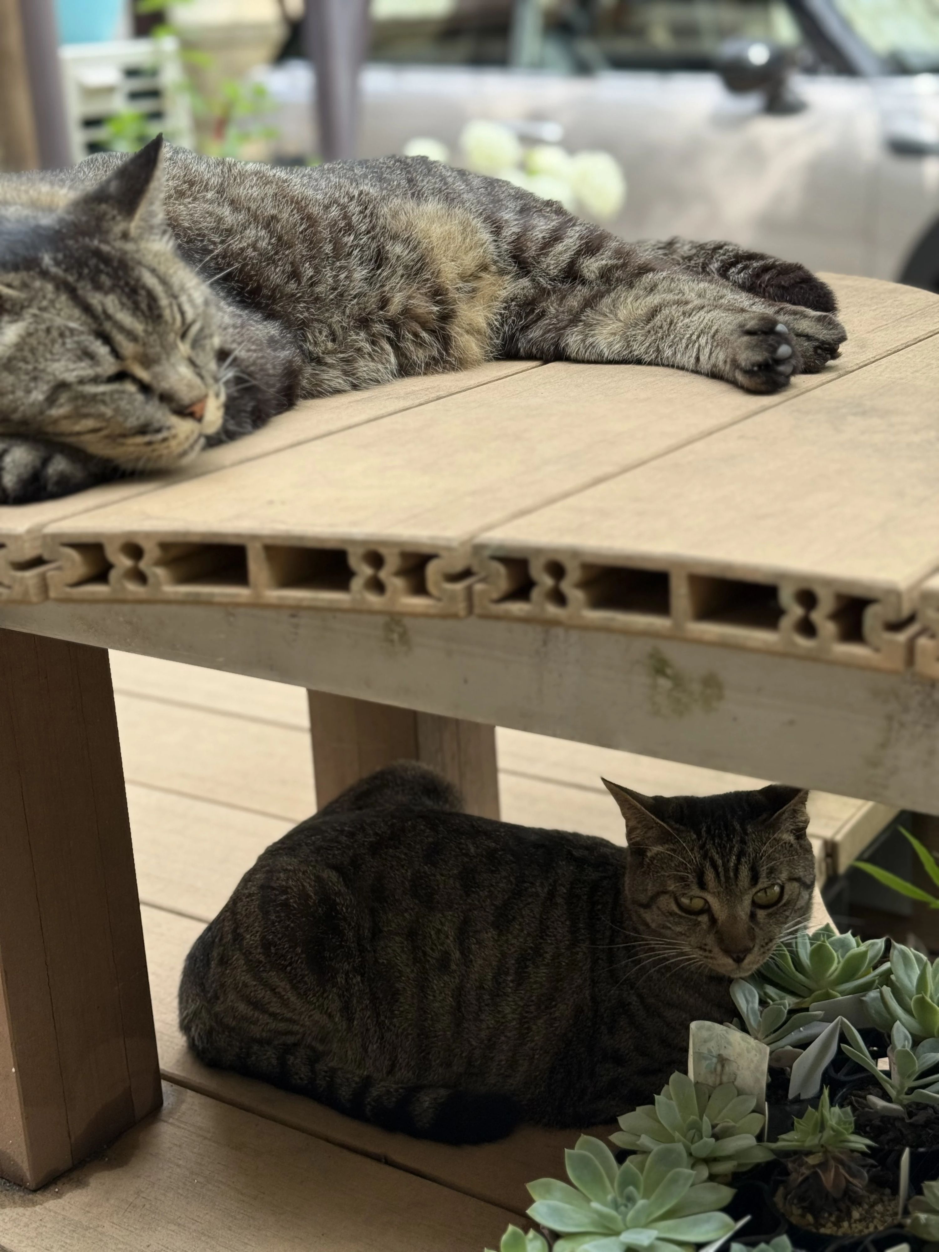 吉原音楽教室 ピアノ 明王台教室のサムネイル画像 5