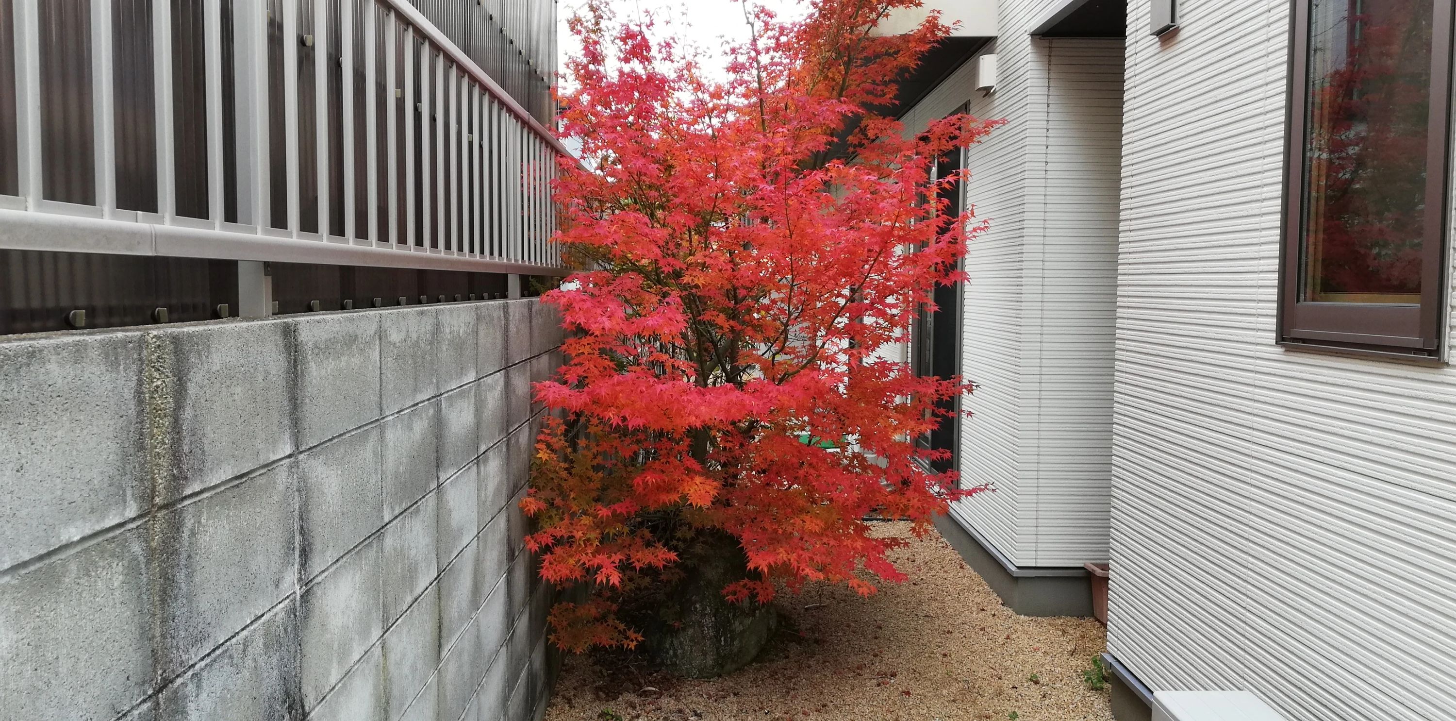 はらだ音楽教室 ピアノ 山口宮野教室のサムネイル画像 5