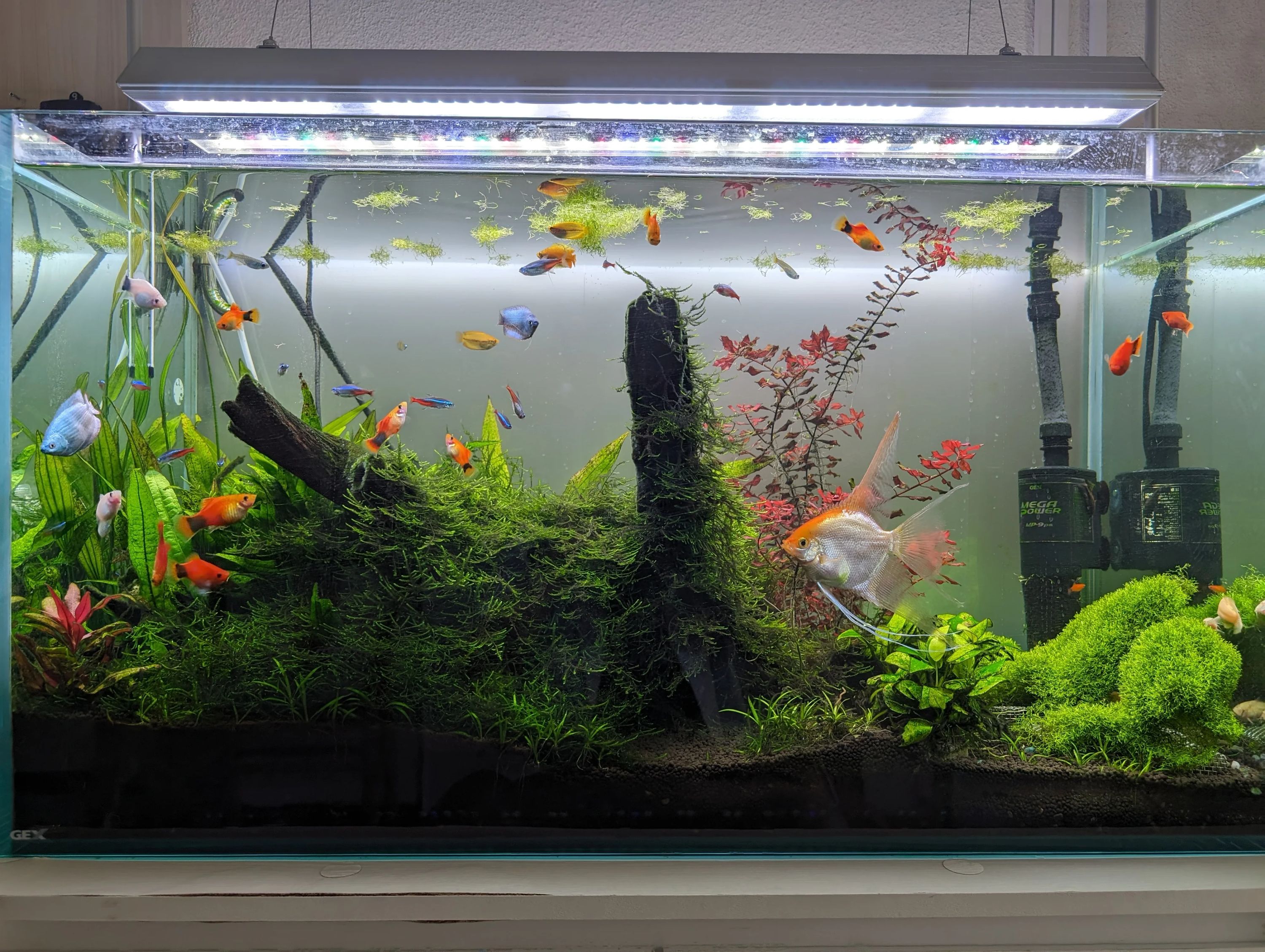 キタムラ音楽教室 ピアノ 二軒屋町教室のサムネイル画像 4