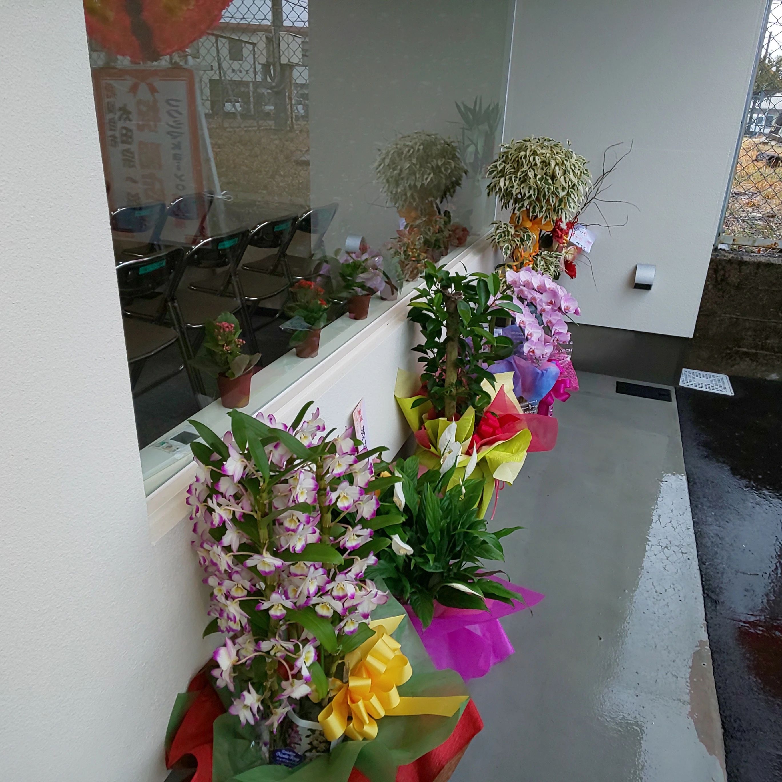 フクシマKaiyo ピアノ 海陽町教室のサムネイル画像 2