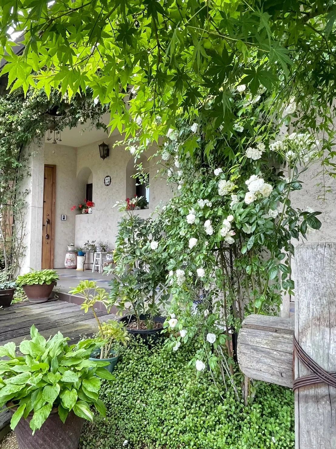 田村ピアノ学校 丸亀教室のサムネイル画像 3